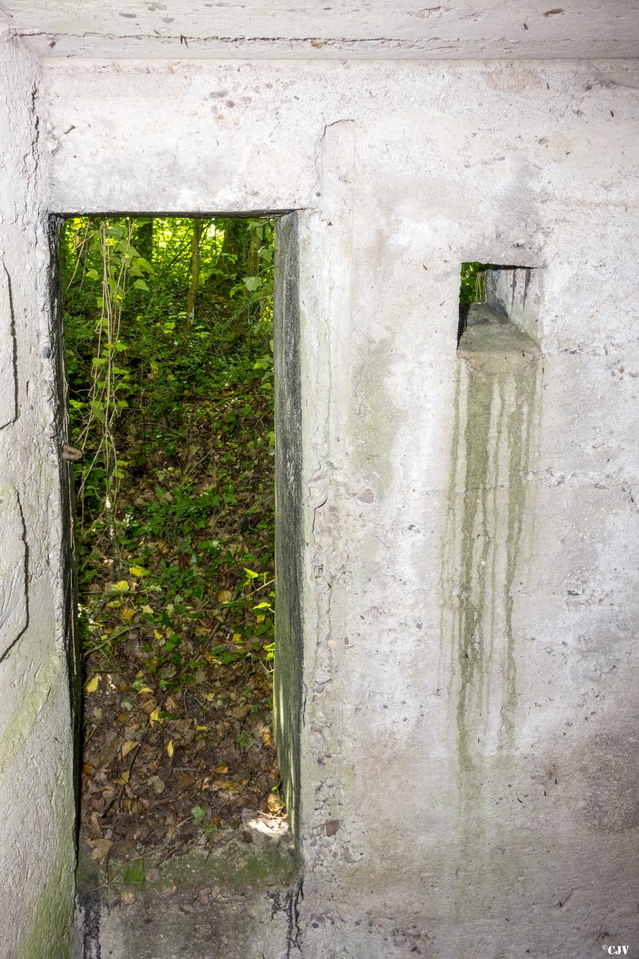 Ligne Maginot - UBERNIED 3 - (Blockhaus pour arme infanterie) -  - Lia VERMEULEN