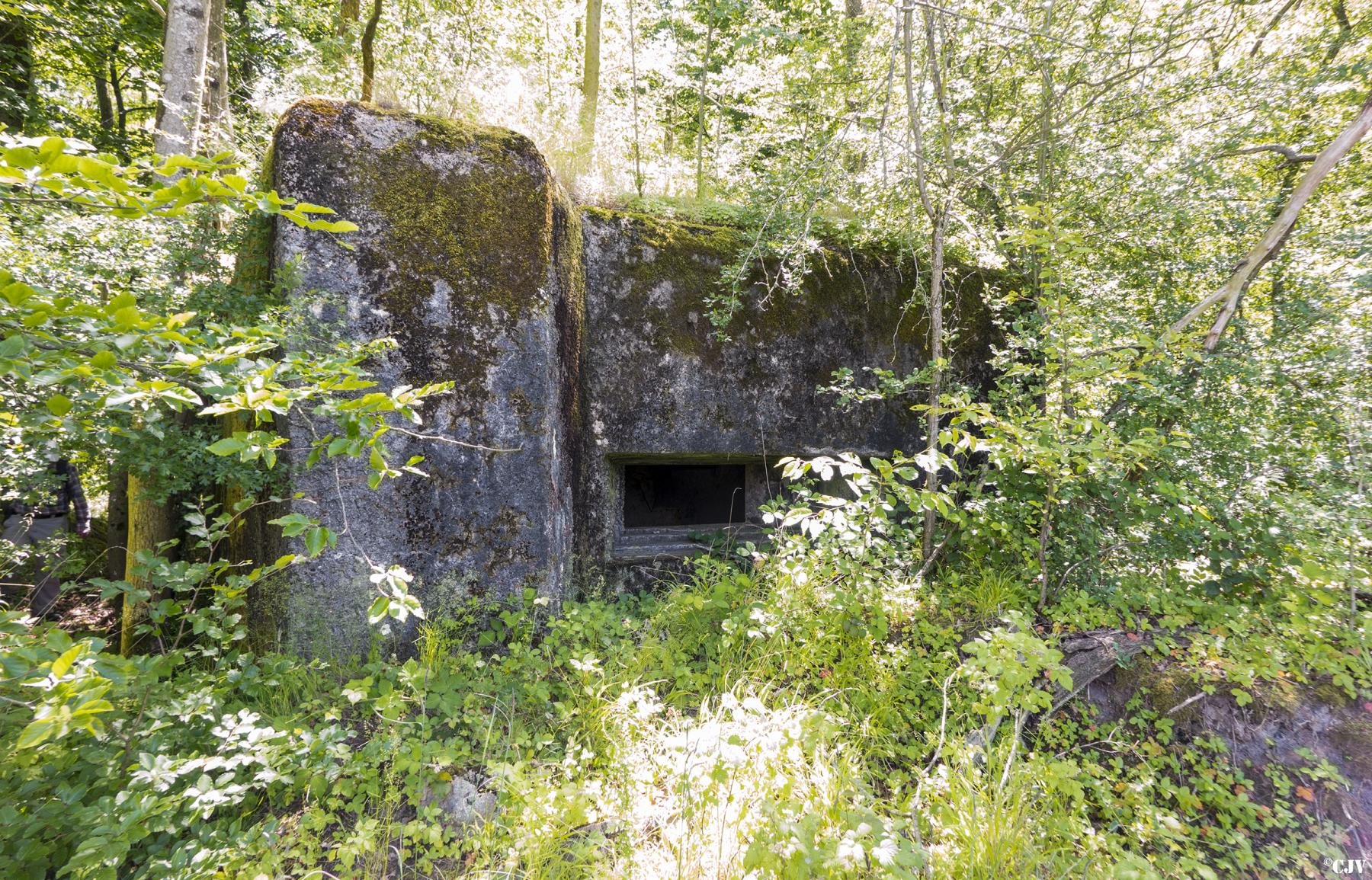 Ligne Maginot - UBERNIED 5 - (Blockhaus pour canon) -  - Lia VERMEULEN
