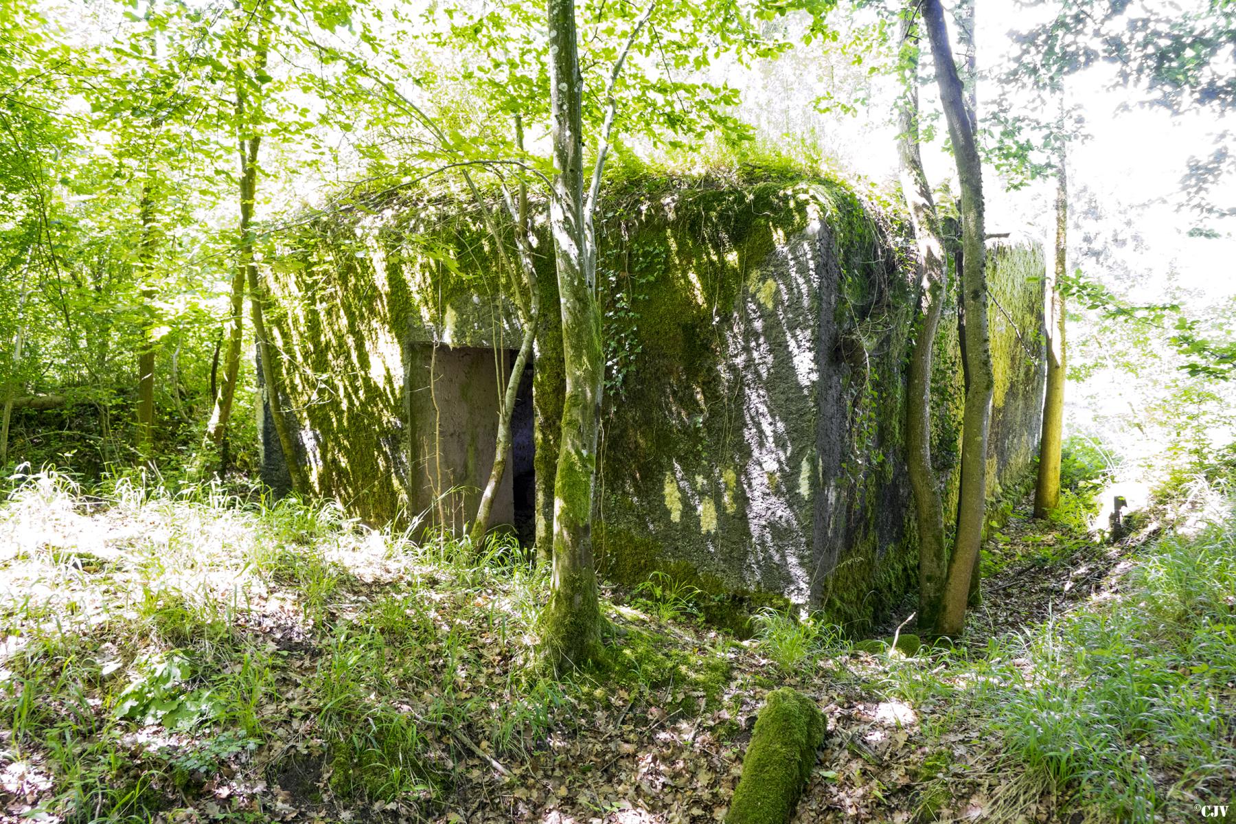 Ligne Maginot - UBERNIED 5 - (Blockhaus pour canon) - L'entrée du matériel - Lia VERMEULEN