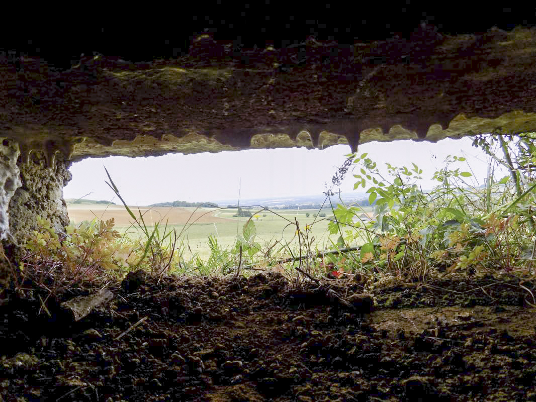 Ligne Maginot - 7C - AUTRECOURT NORD - (Blockhaus pour arme infanterie) - Vue créneau gauche FM/Obs, vers le nord-est - R Tucker