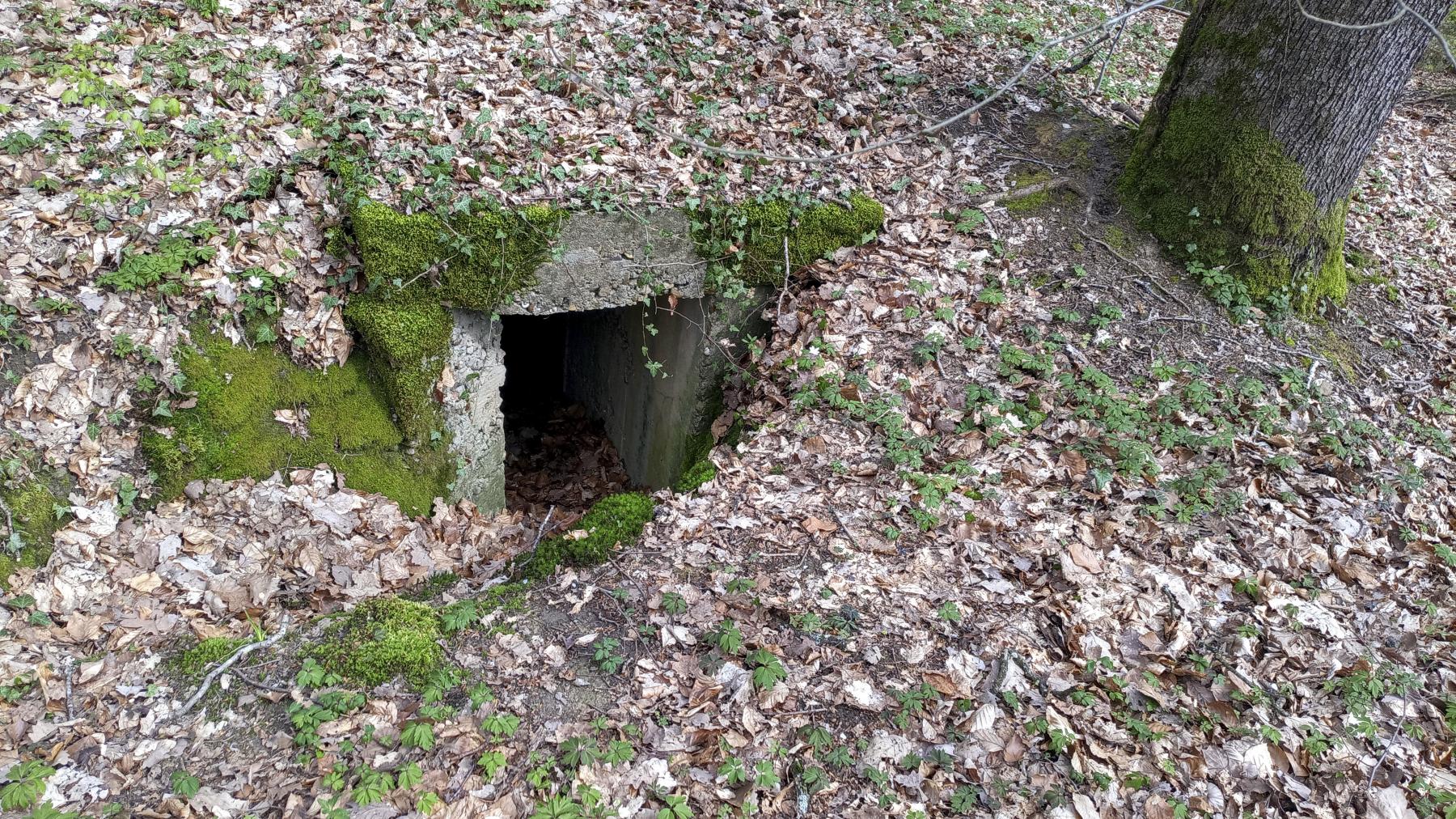 Ligne Maginot - CT26BIS - (Observatoire d'infanterie) - L'entrée - Marc Fossoul