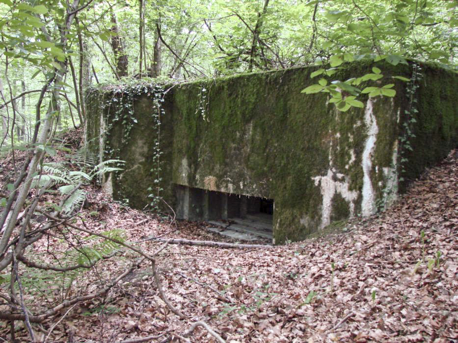 Ligne Maginot - CB224-A - HERTSCHENBERG 1 - (Blockhaus pour canon) -  - Schnoupf