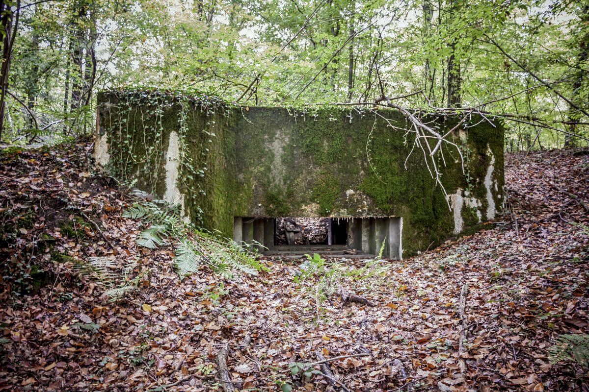 Ligne Maginot - CB224-A - HERTSCHENBERG 1 - (Blockhaus pour canon) - Blockhaus pour canon AC - Fré Do