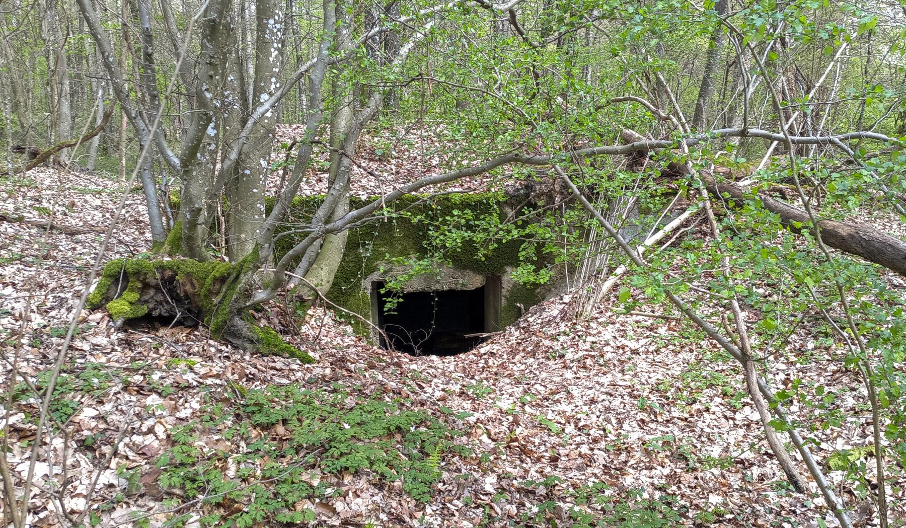 Ligne Maginot - CB224-A - HERTSCHENBERG 1 - (Blockhaus pour canon) - L'entrée du matériel - Marc Fossoul