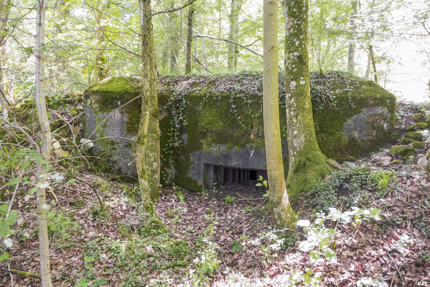 Ligne Maginot - UBERNIED 7 - (Blockhaus pour arme infanterie) -  - Lia VERMEULEN