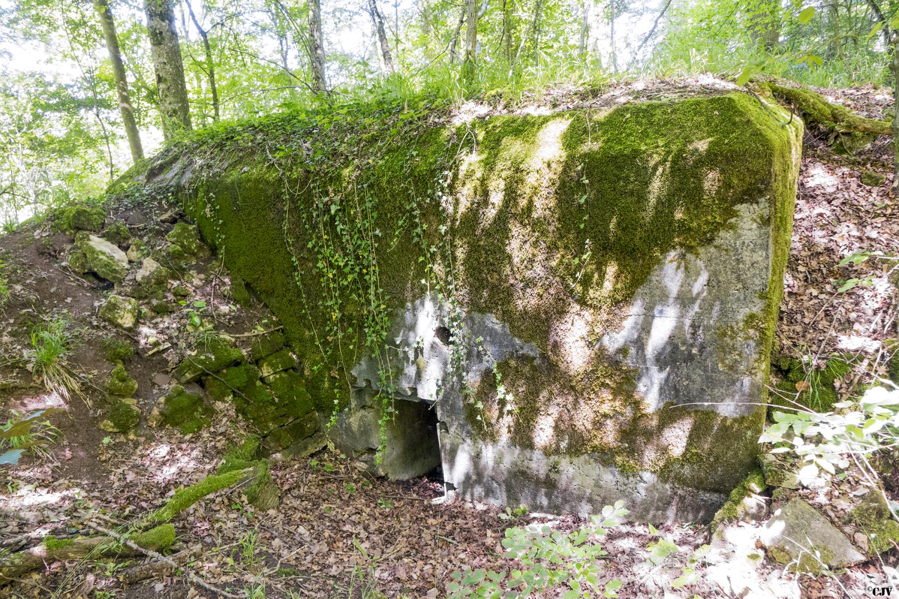 Ligne Maginot - UBERNIED 7 - (Blockhaus pour arme infanterie) -  - Lia VERMEULEN