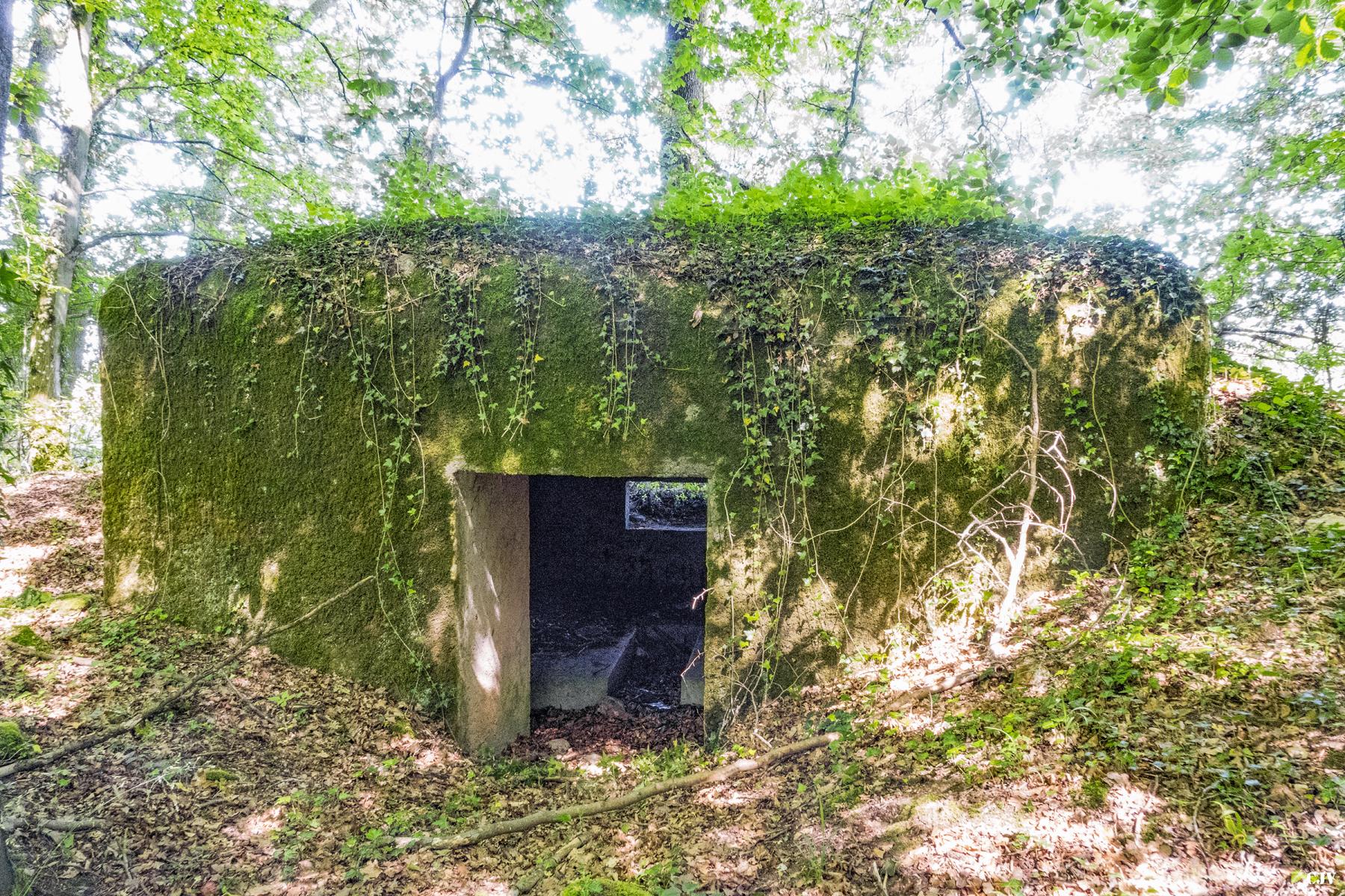 Ligne Maginot - UBERNIED 8 - (Blockhaus pour canon) - L'entrée du matériel - Lia VERMEULEN