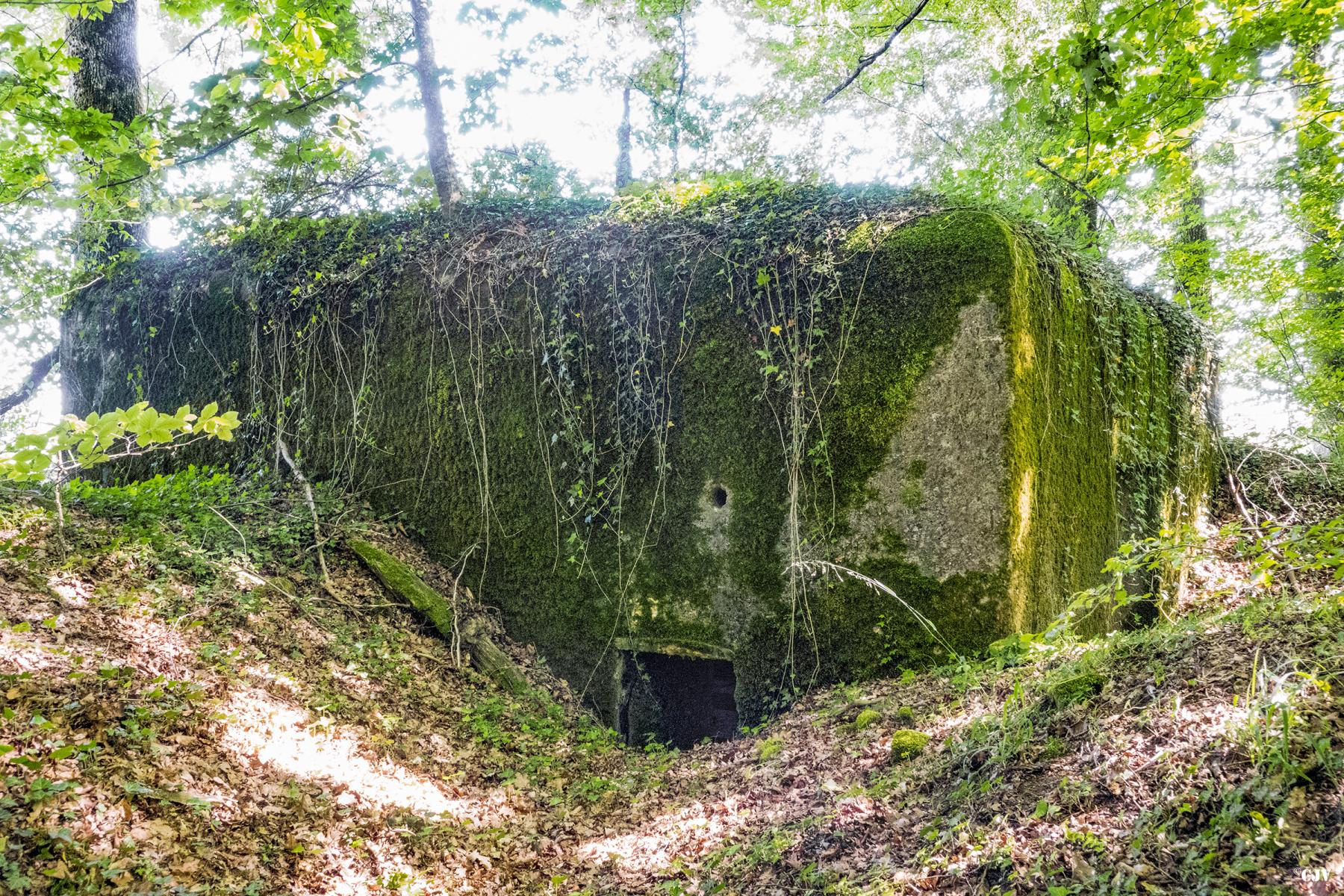 Ligne Maginot - UBERNIED 8 - (Blockhaus pour canon) - L'entrée du personnel - Lia VERMEULEN