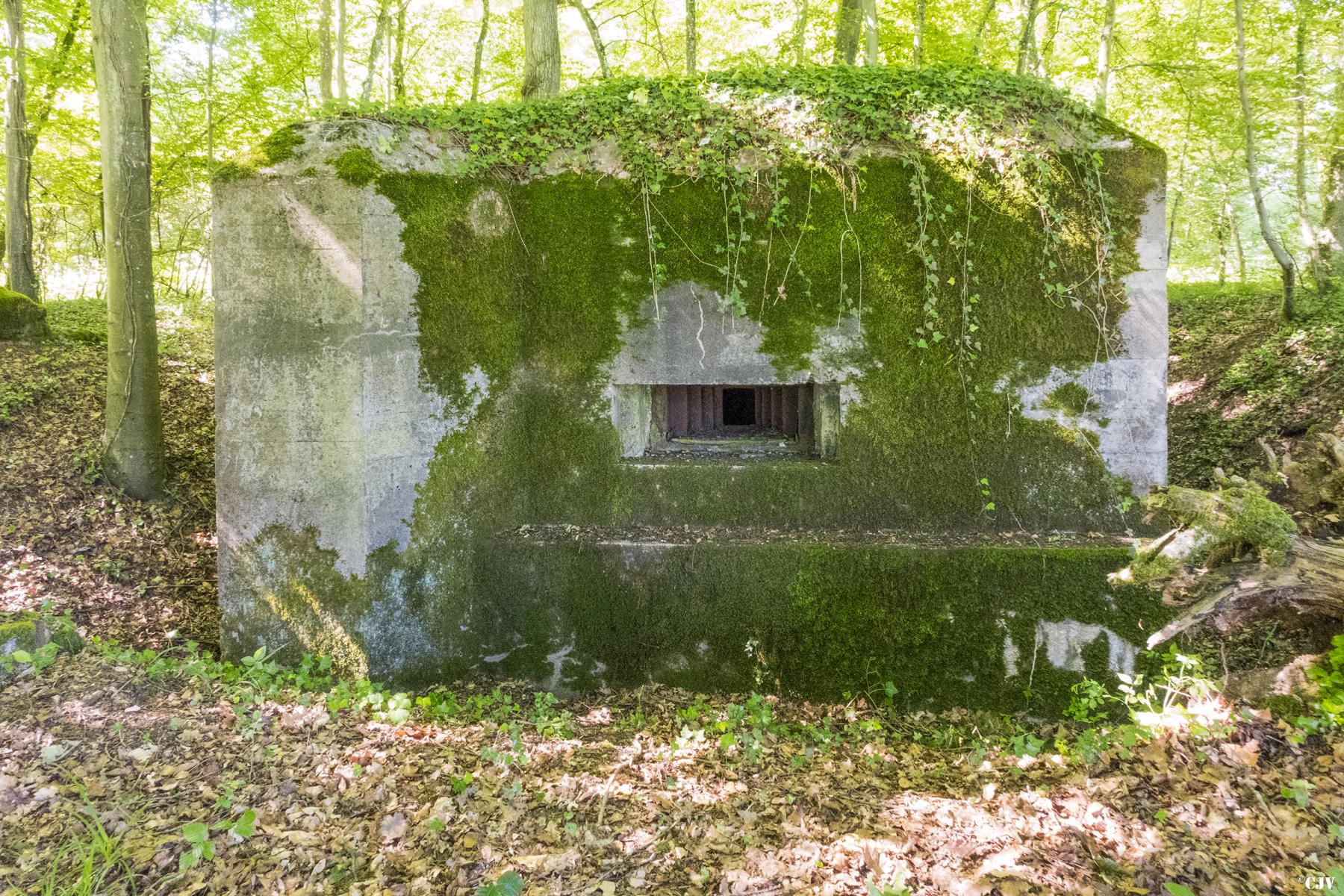 Ligne Maginot - UBERNIED 9 - (Blockhaus pour arme infanterie) -  - Lia VERMEULEN