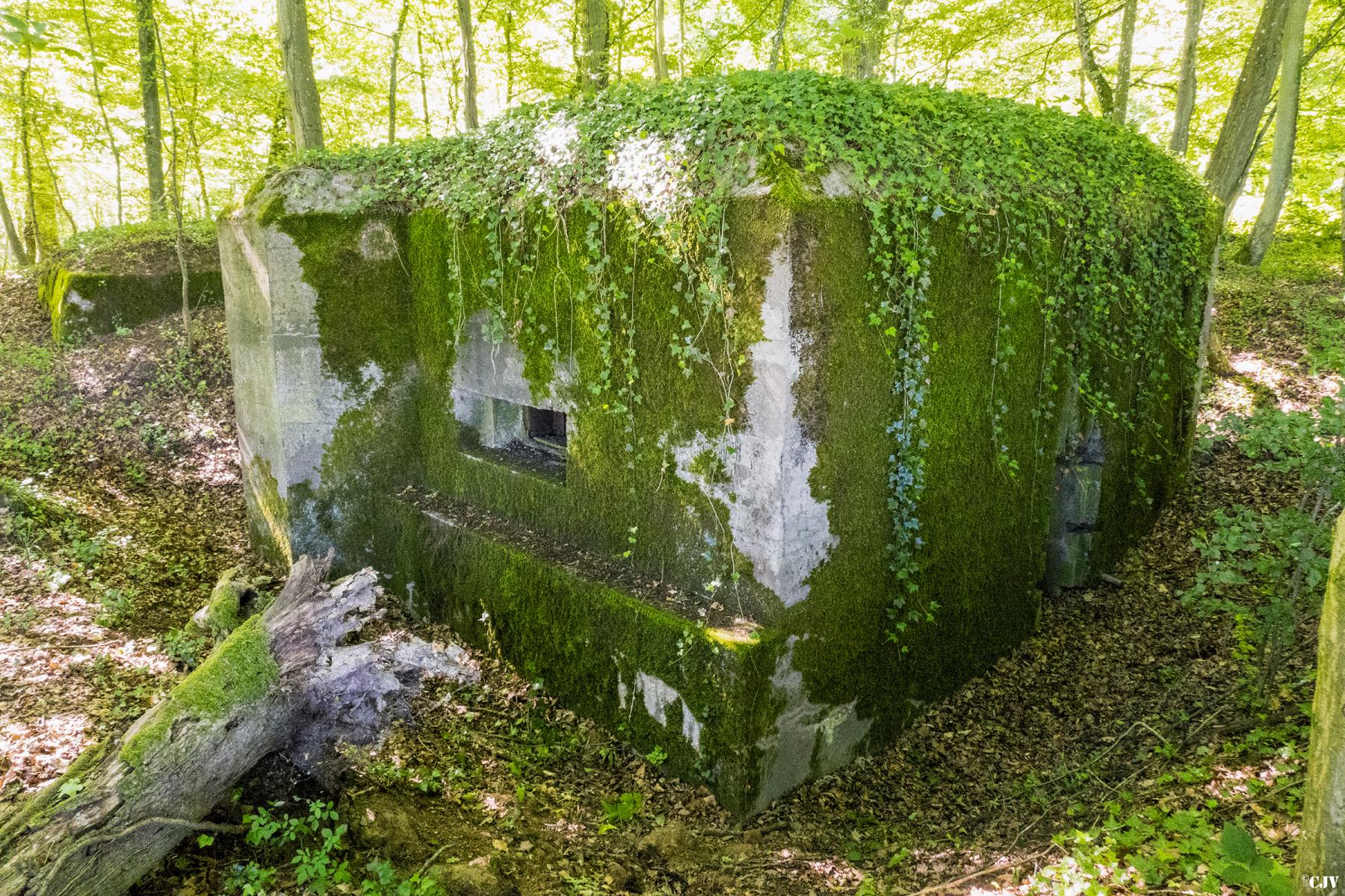 Ligne Maginot - UBERNIED 9 - (Blockhaus pour arme infanterie) -  - Lia VERMEULEN