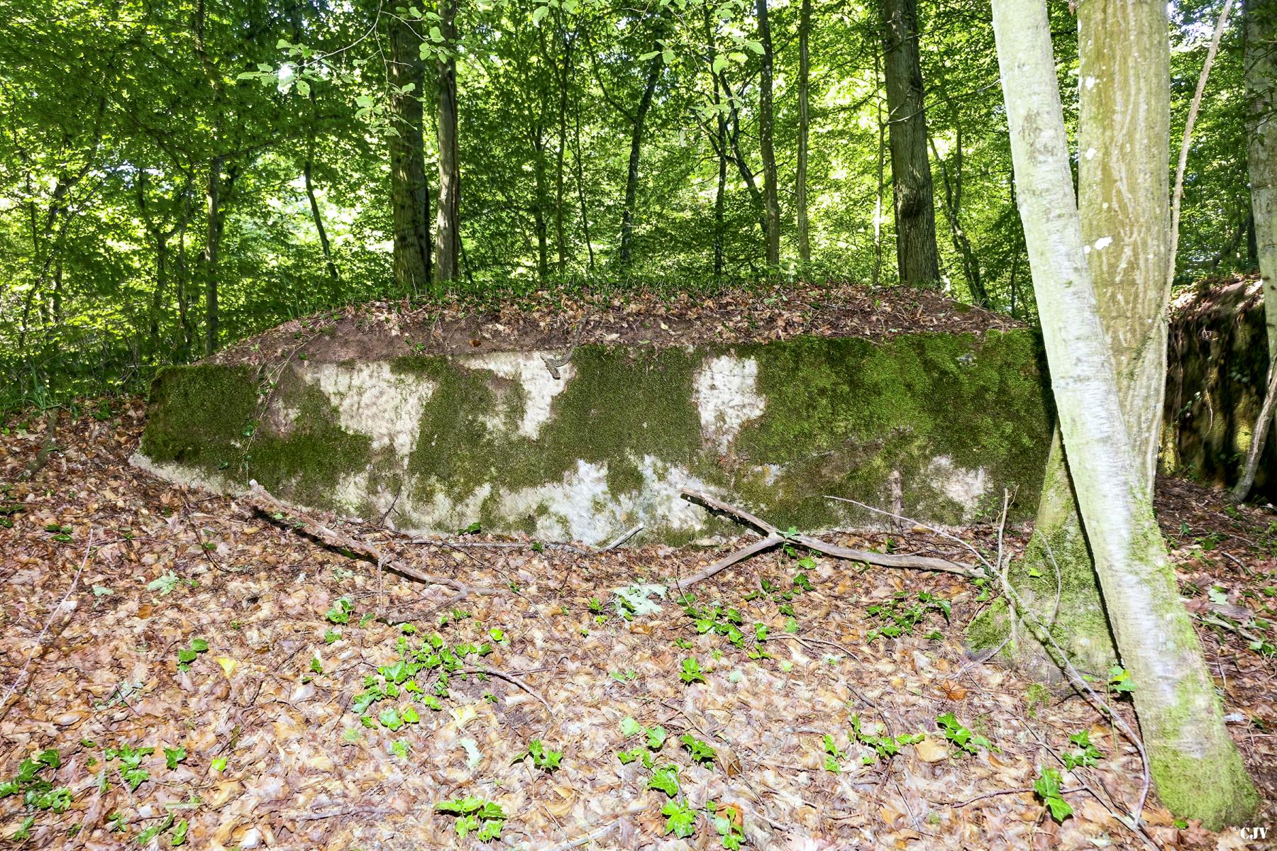 Ligne Maginot - UBERNIED 10 - (Blockhaus pour canon) - Le créneau n'est plus visible - Lia VERMEULEN