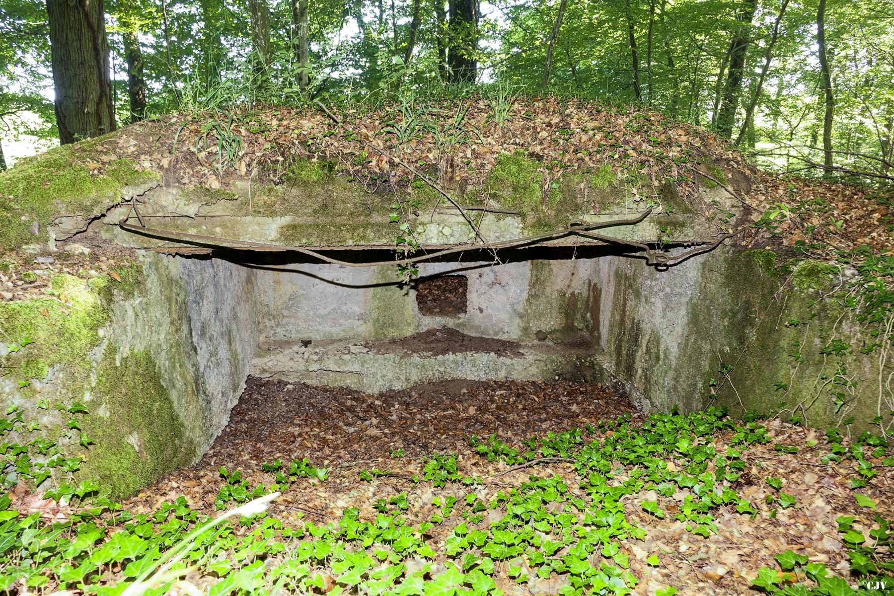 Ligne Maginot - UBERNIED 10 - (Blockhaus pour canon) - Le blockhaus n'est plus qu'un bouclier - Lia VERMEULEN