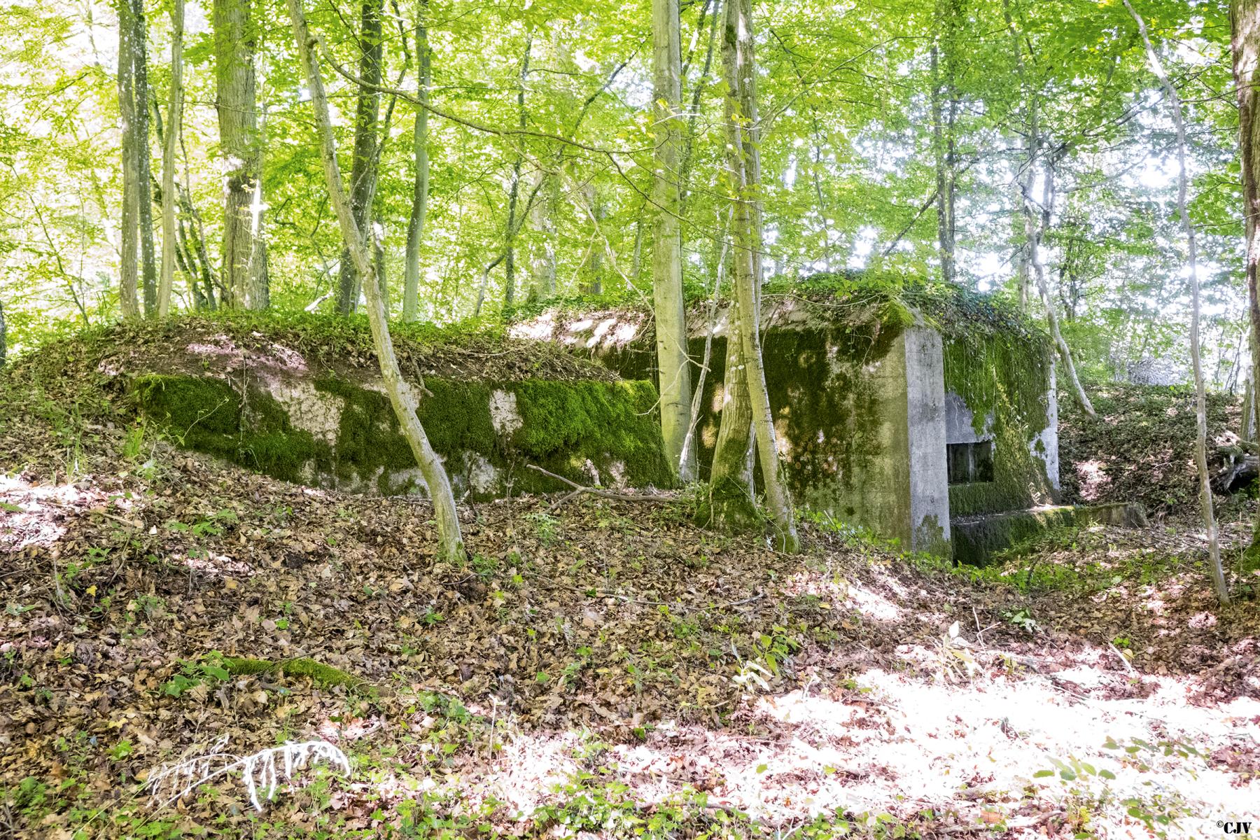 Ligne Maginot - UBERNIED 10 - (Blockhaus pour canon) - Les blockhaus Ubernied 10 et 9 - Lia VERMEULEN
