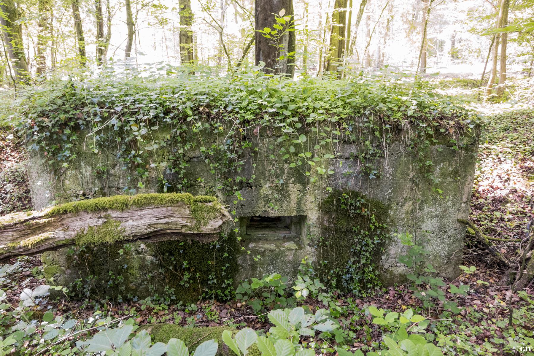Ligne Maginot - UBERNIED 11 - (Blockhaus pour arme infanterie) -  - Lia VERMEULEN