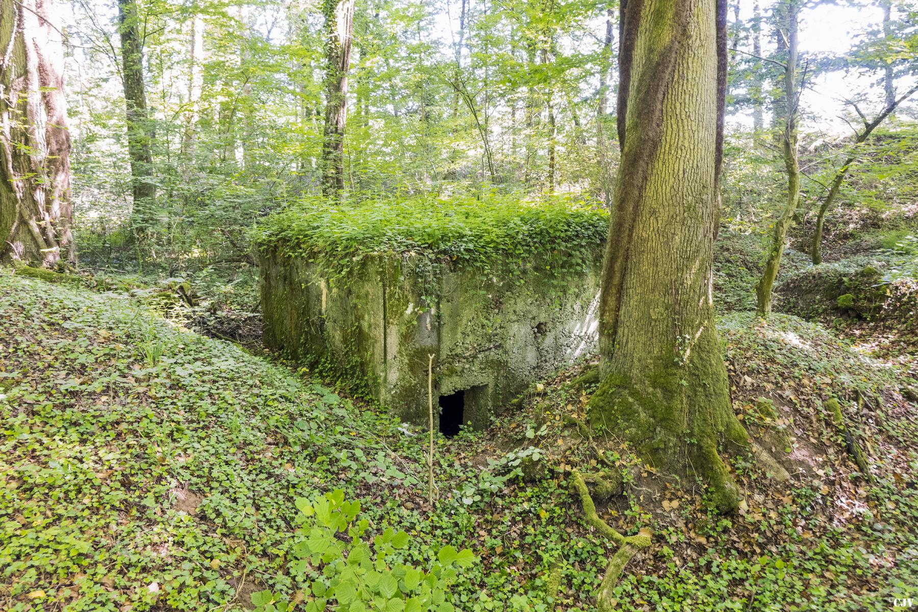 Ligne Maginot - UBERNIED 11 - (Blockhaus pour arme infanterie) -  - Lia VERMEULEN
