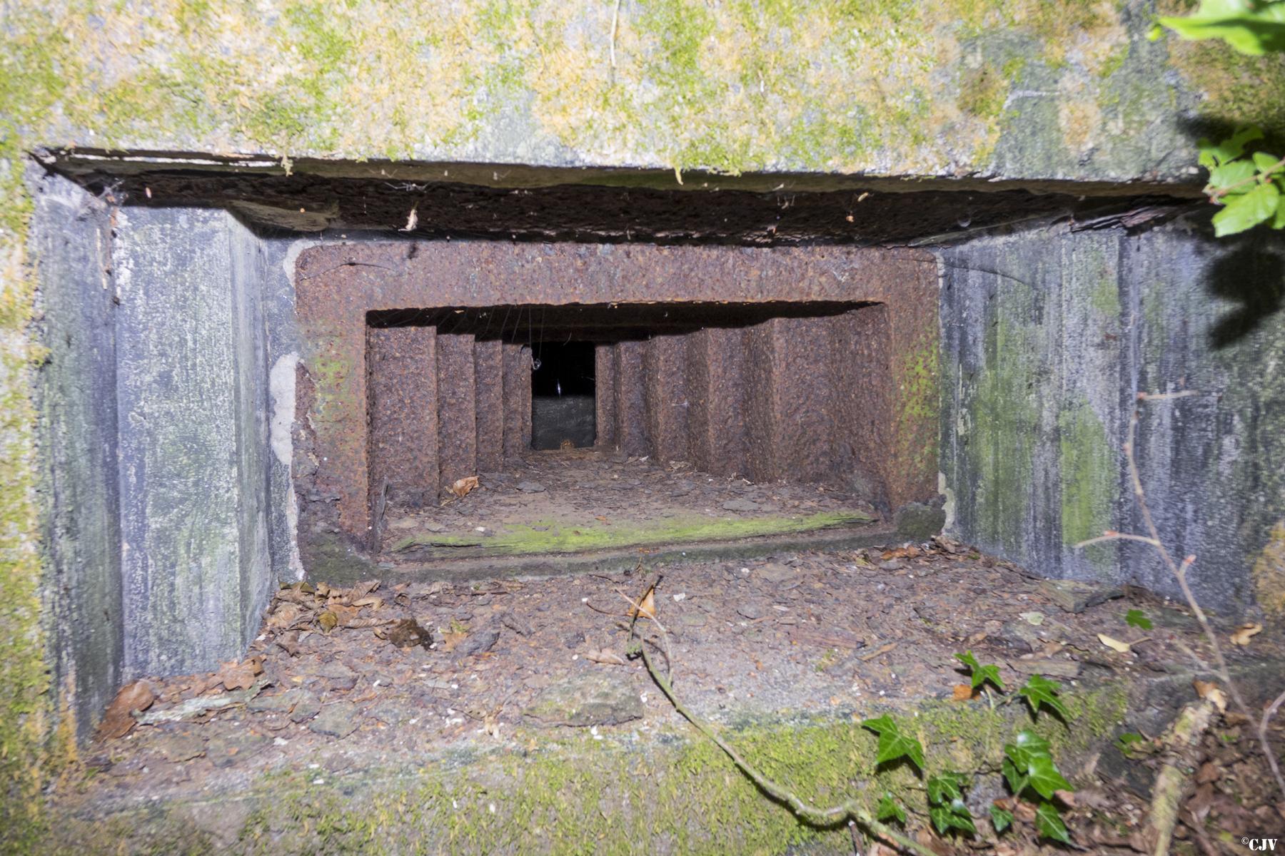 Ligne Maginot - UBERNIED 12 - (Blockhaus pour arme infanterie) -  - Lia VERMEULEN