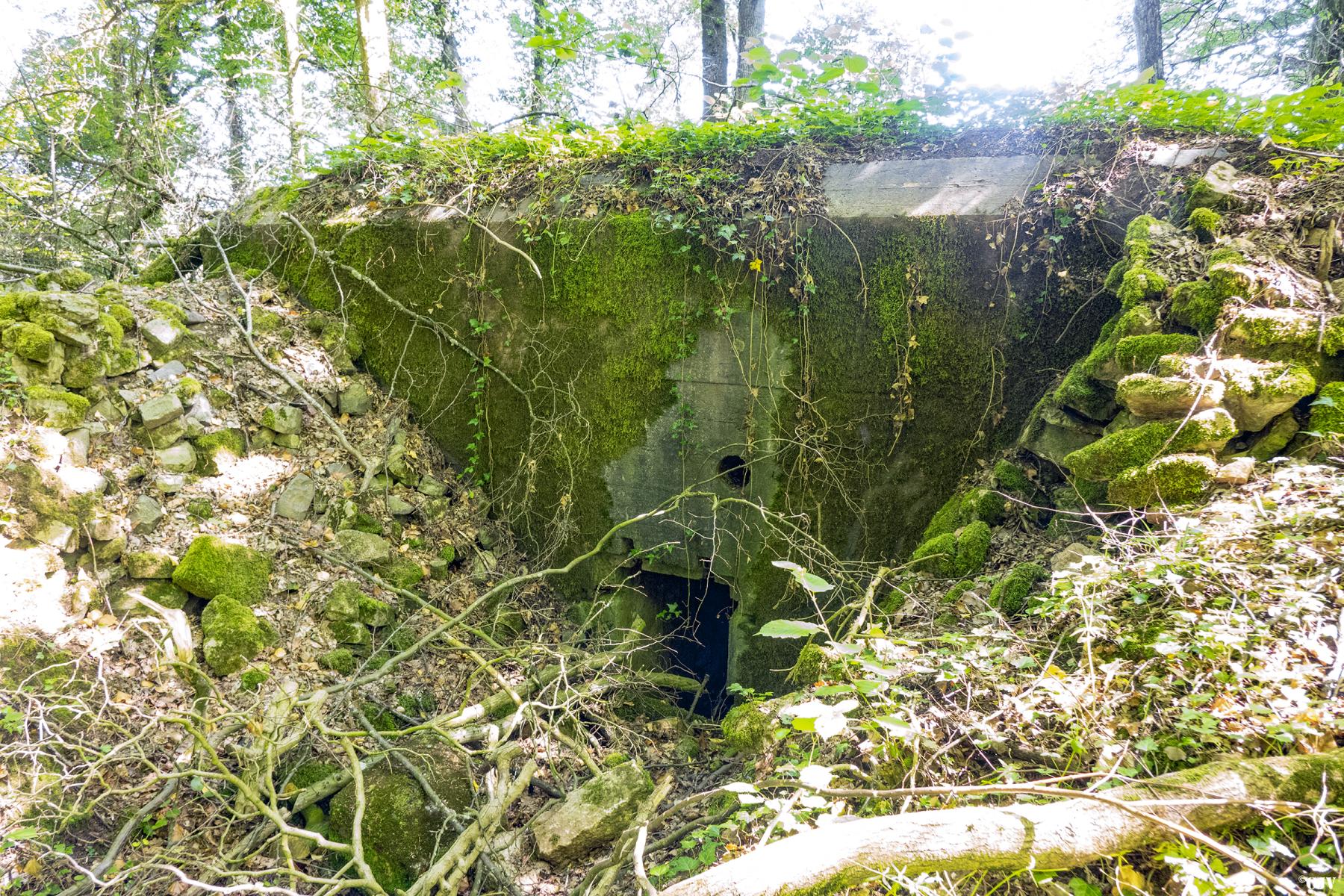 Ligne Maginot - UBERNIED 12 - (Blockhaus pour arme infanterie) -  - Lia VERMEULEN
