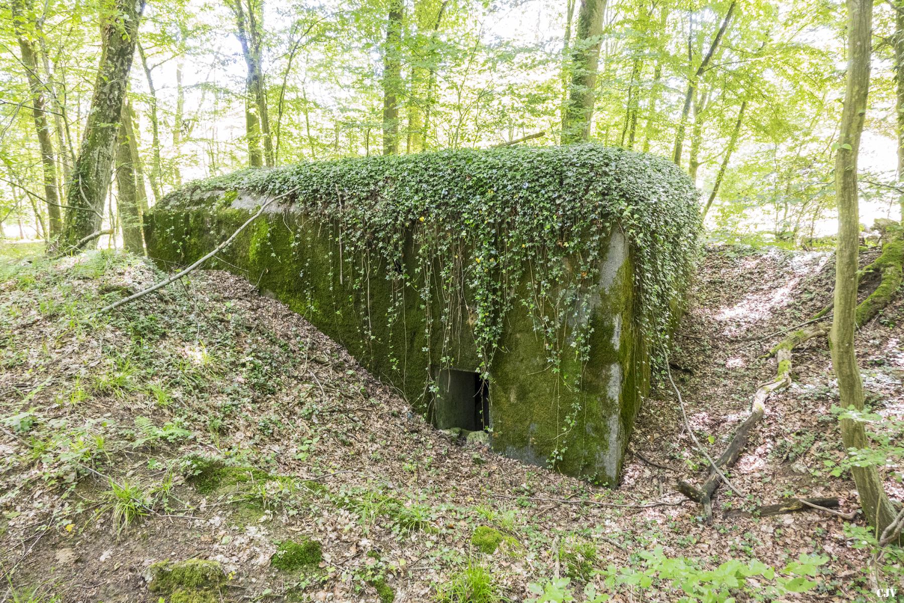Ligne Maginot - UBERNIED 13 - (Blockhaus pour canon) -  - Lia VERMEULEN