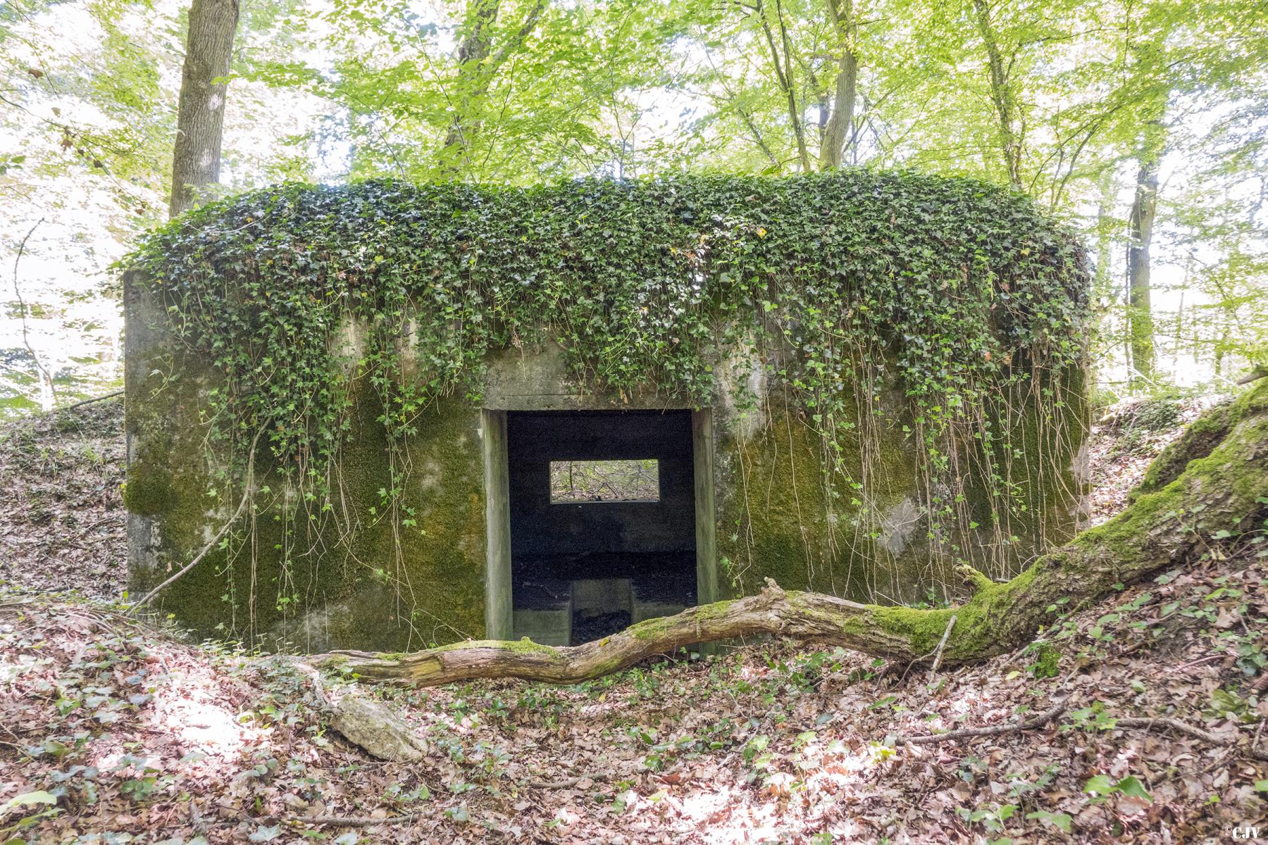 Ligne Maginot - UBERNIED 13 - (Blockhaus pour canon) -  - Lia VERMEULEN