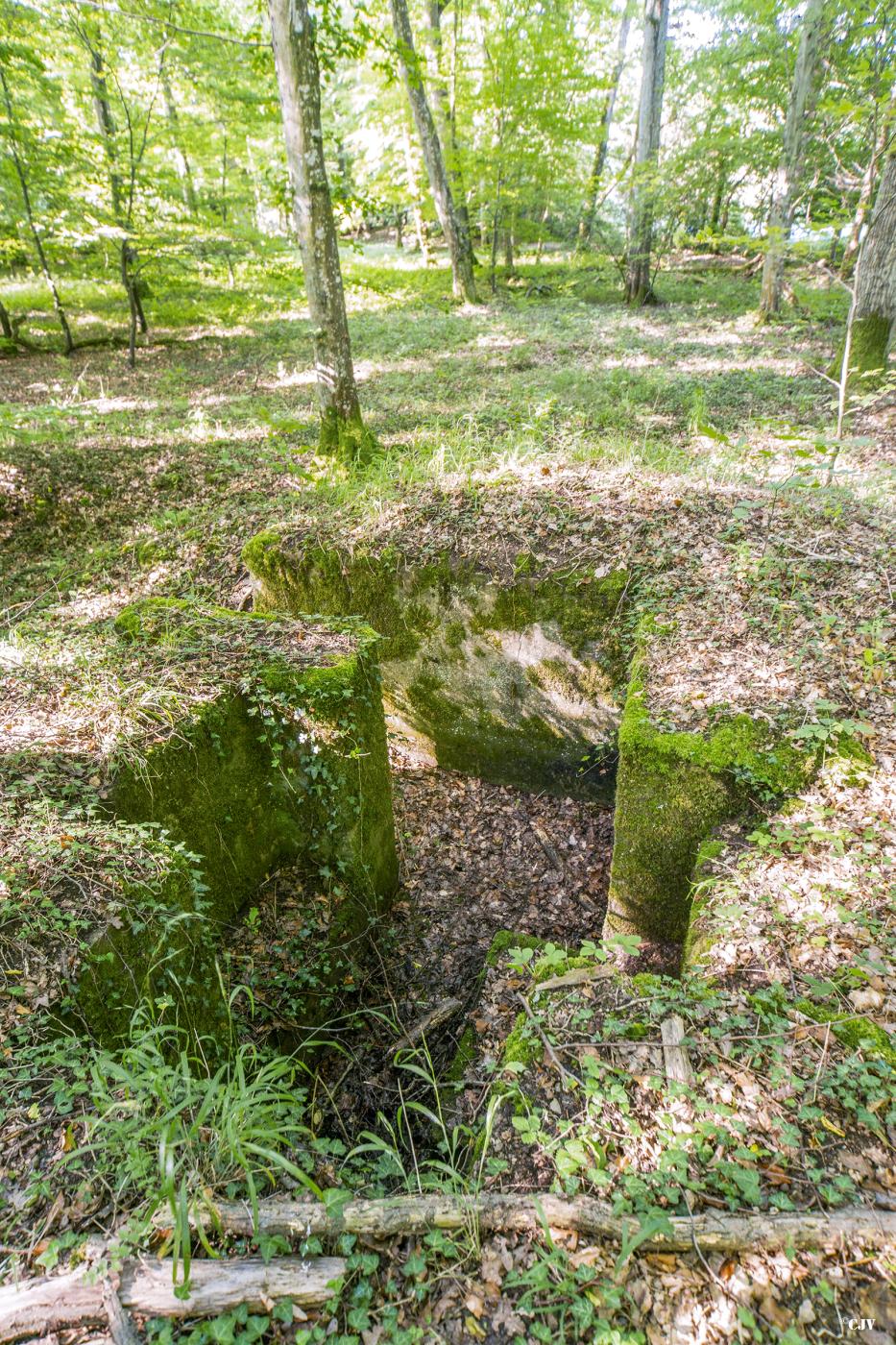 Ligne Maginot - VORDERSTERWALD 1 - (Cuve pour arme d'infanterie) -  - Lia VERMEULEN