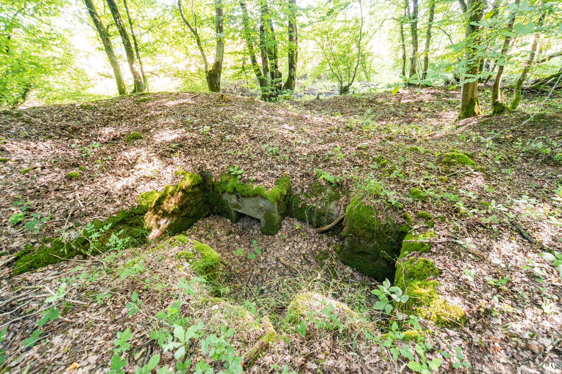 Ligne Maginot - VORDERSTERWALD 3 - (Cuve pour arme d'infanterie) -  - Lia VERMEULEN