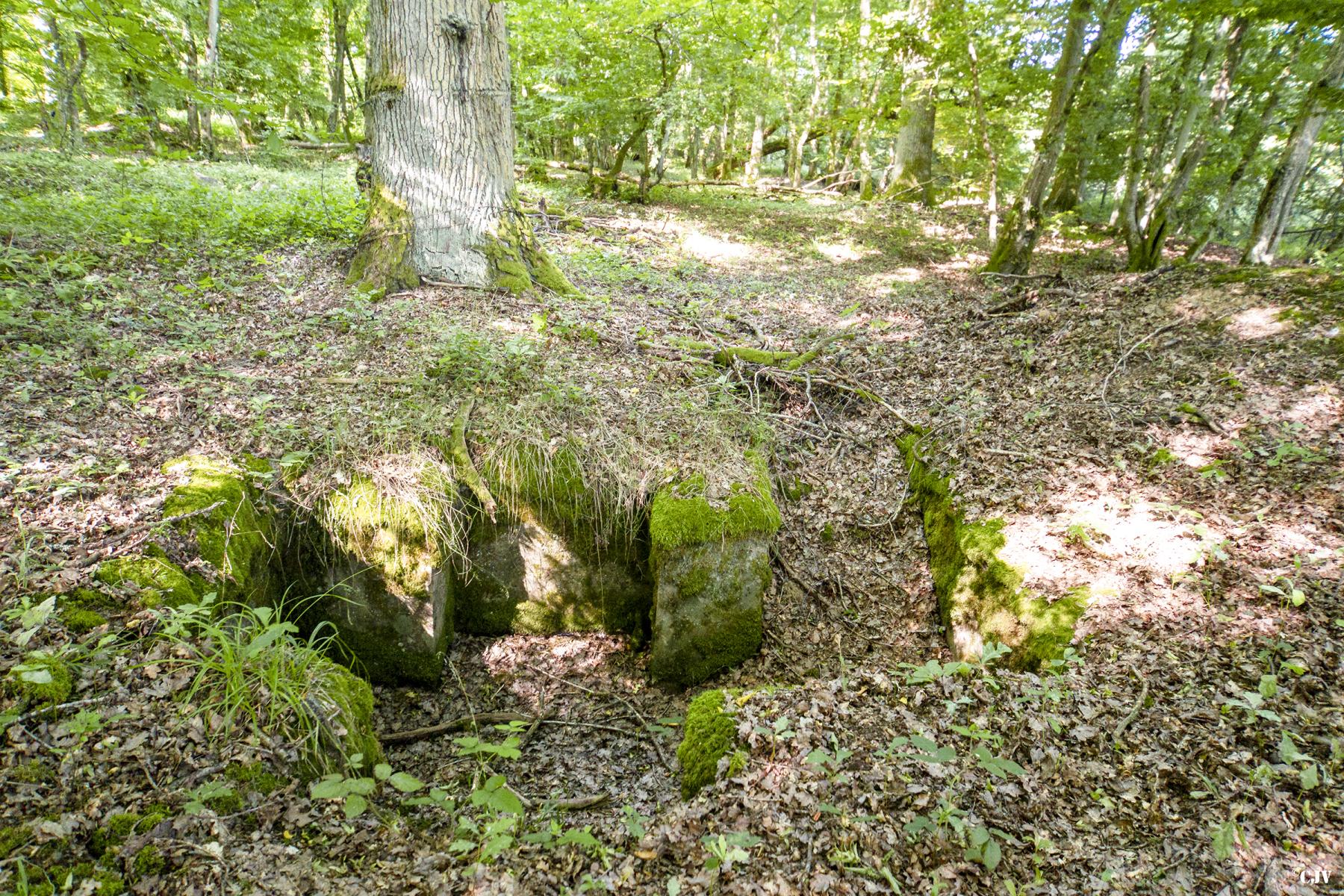 Ligne Maginot - VORDERSTERWALD 3 - (Cuve pour arme d'infanterie) -  - Lia VERMEULEN