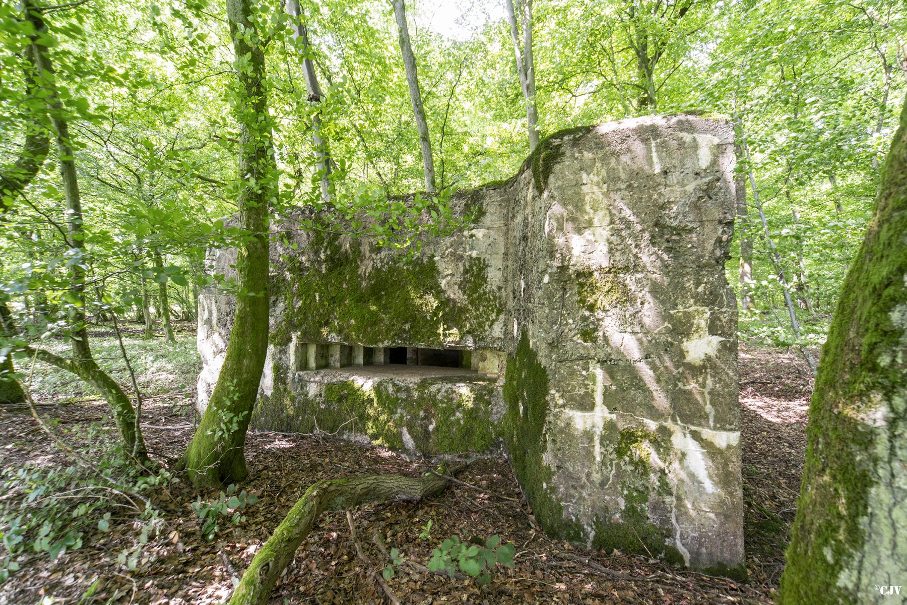 Ligne Maginot - VORDERSTERWALD 9 - (Blockhaus pour canon) -  - Lia VERMEULEN