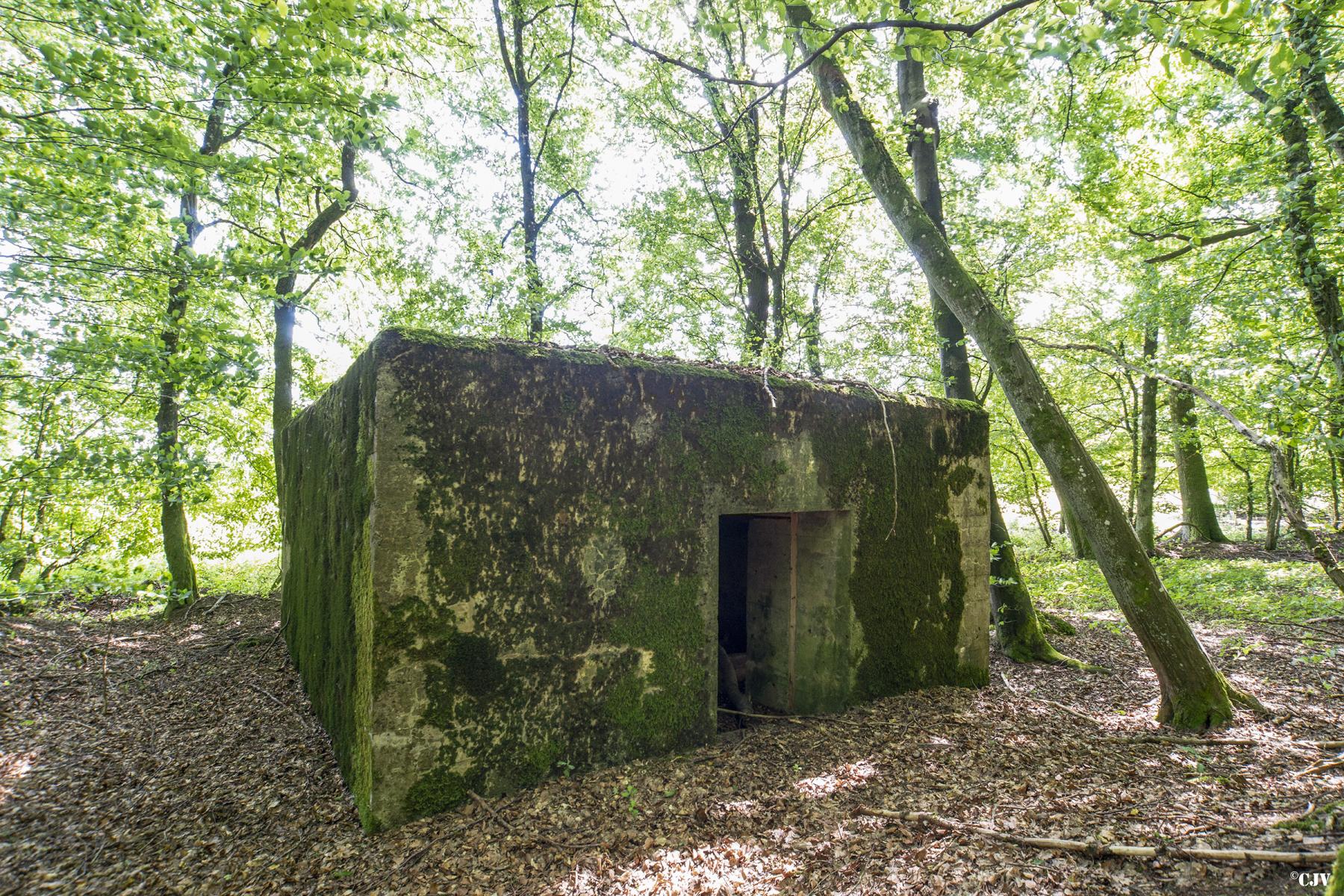 Ligne Maginot - VORDERSTERWALD 9 - (Blockhaus pour canon) - L'entrée du matériel - Lia VERMEULEN