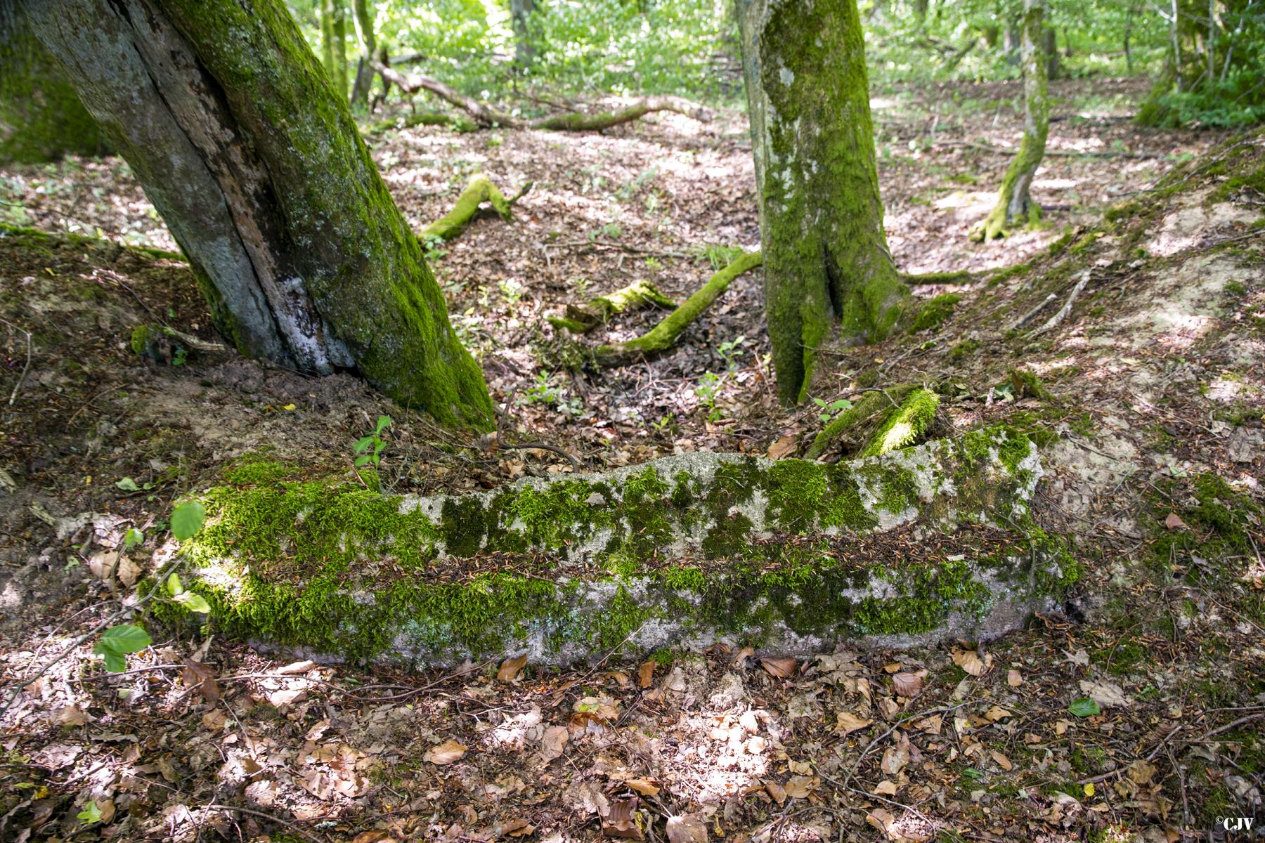 Ligne Maginot - VORDERSTERWALD 8BIS - (Cuve pour arme d'infanterie) -                                              - Lia VERMEULEN
