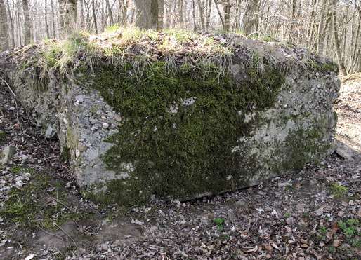 Ligne Maginot - VORDERSTERWALD 8 - (Observatoire indéterminé) -  - AALMA - www.lignemaginot.com