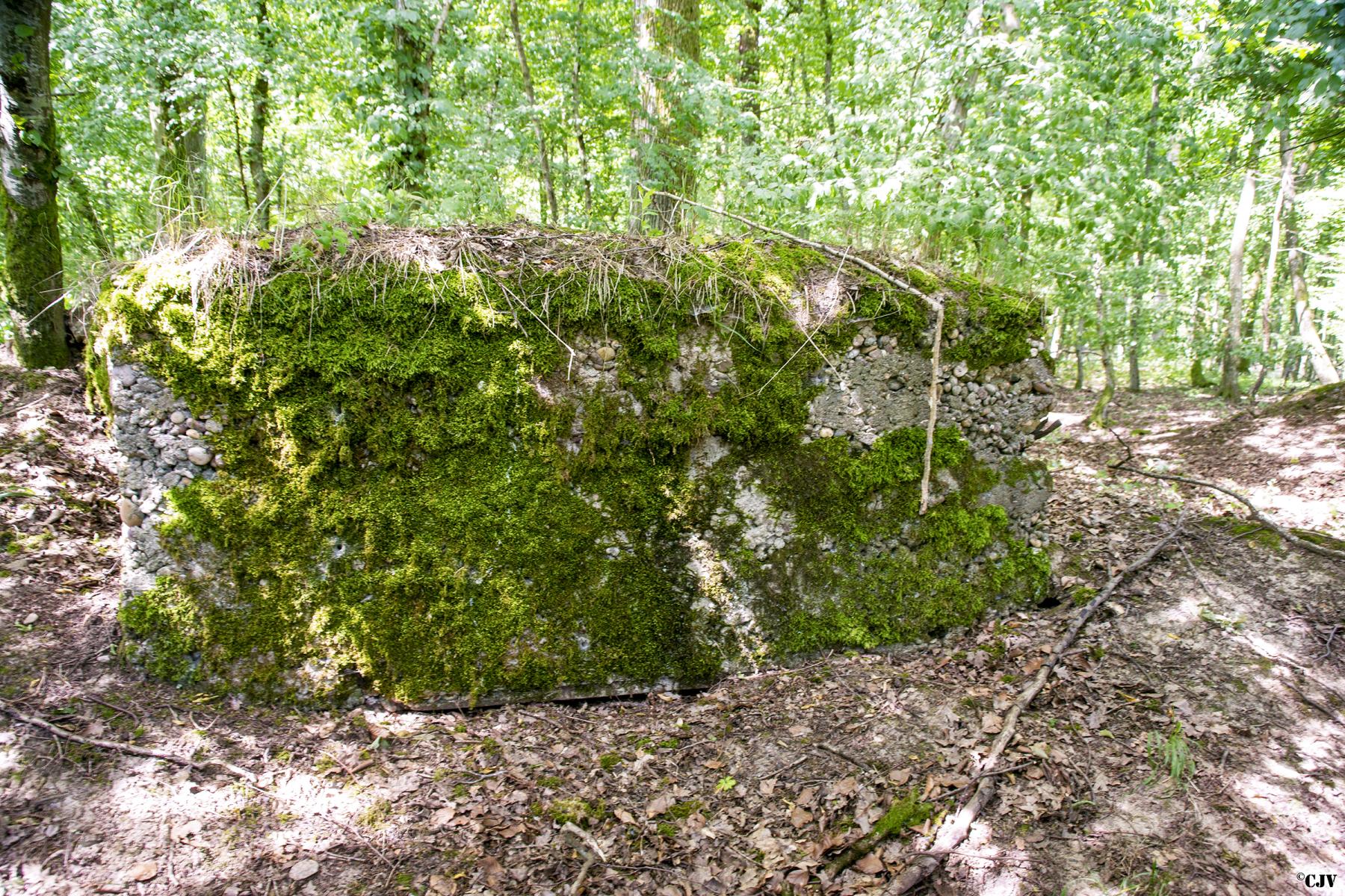 Ligne Maginot - VORDERSTERWALD 8 - (Observatoire indéterminé) -  - Lia VERMEULEN