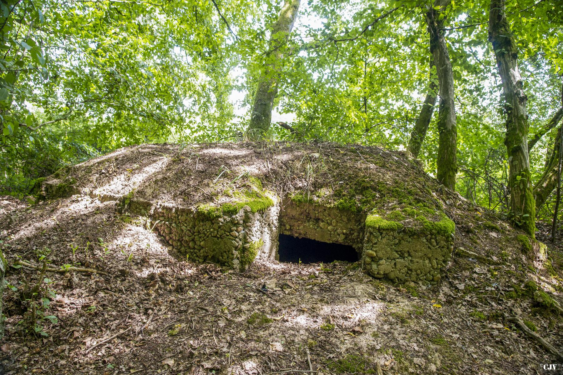 Ligne Maginot - VORDERSTERWALD 8 - (Observatoire indéterminé) -  - Lia VERMEULEN