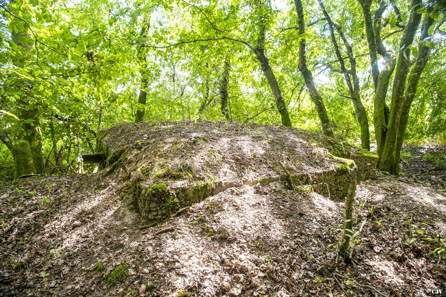 Ligne Maginot - VORDERSTERWALD 8 - (Observatoire indéterminé) -  - Lia VERMEULEN