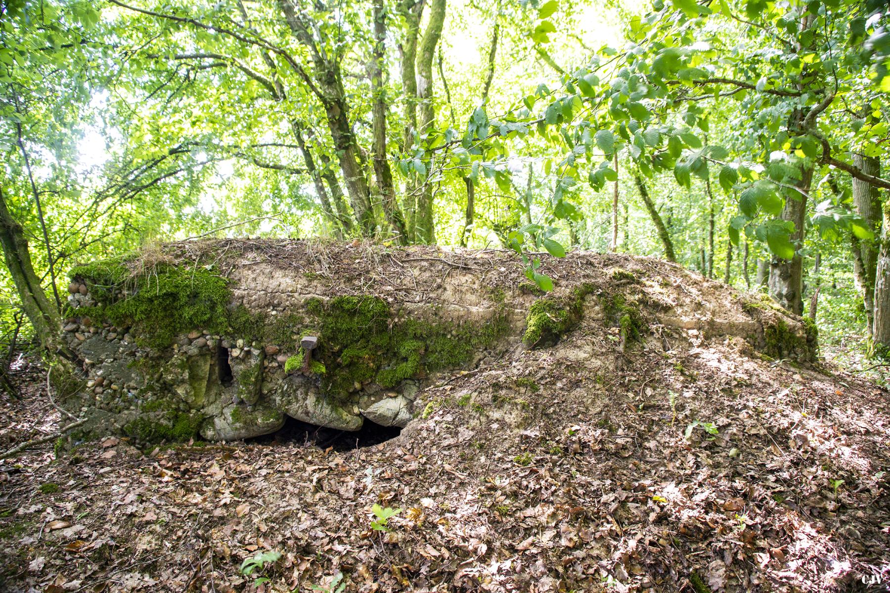 Ligne Maginot - VORDERSTERWALD 8 - (Observatoire indéterminé) - Côté Ouest - Lia VERMEULEN