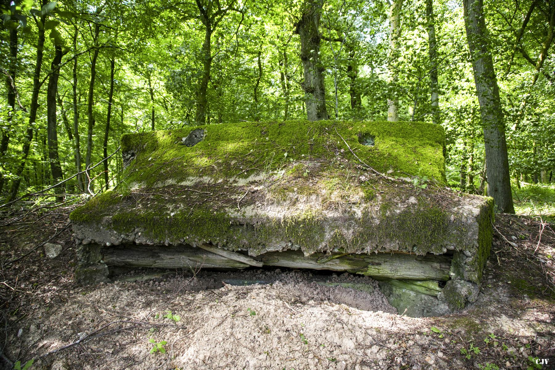Ligne Maginot - VORDERSTERWALD 7 - (Observatoire indéterminé) -  - Lia VERMEULEN