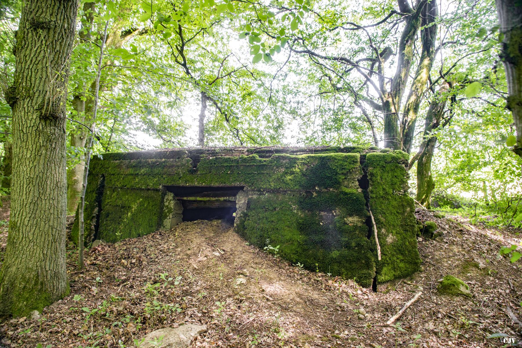 Ligne Maginot - VORDERSTERWALD 7 - (Observatoire indéterminé) -  - Lia VERMEULEN