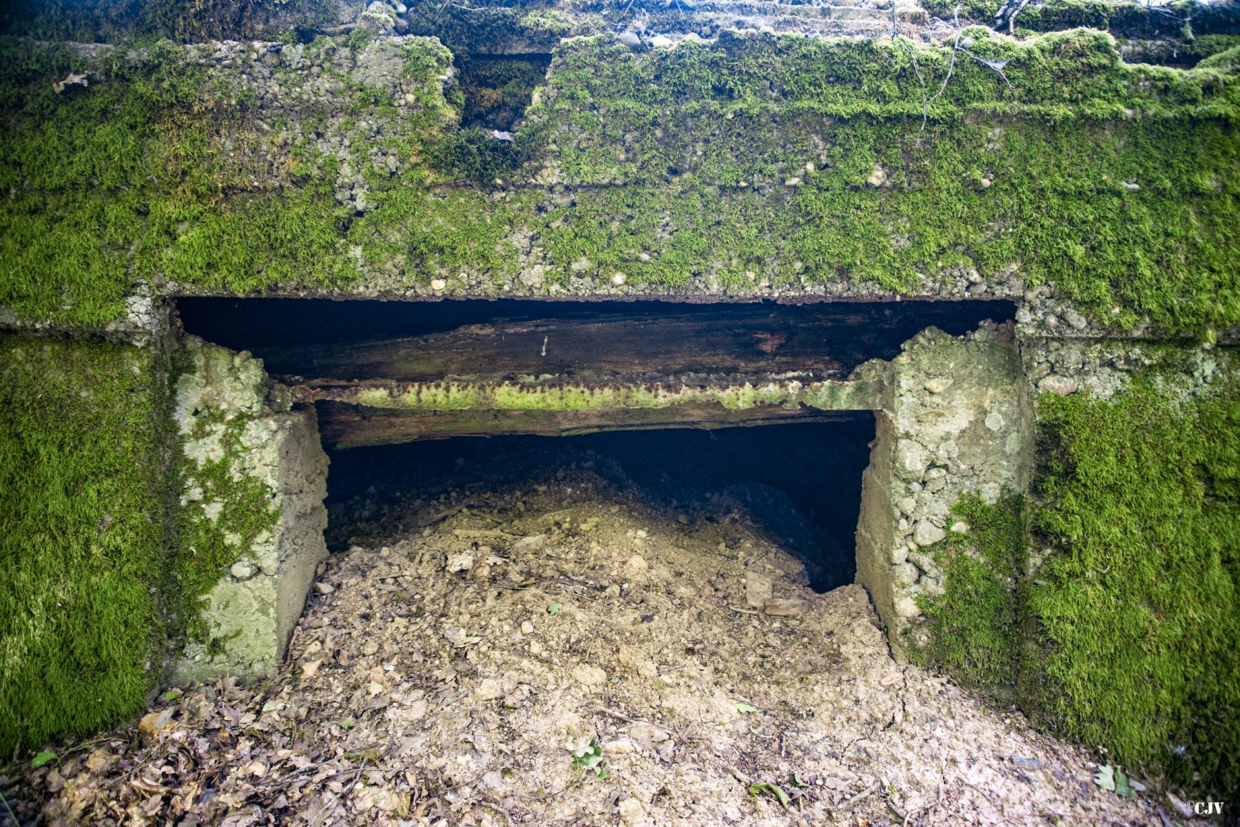 Ligne Maginot - VORDERSTERWALD 7 - (Observatoire indéterminé) -  - Lia VERMEULEN