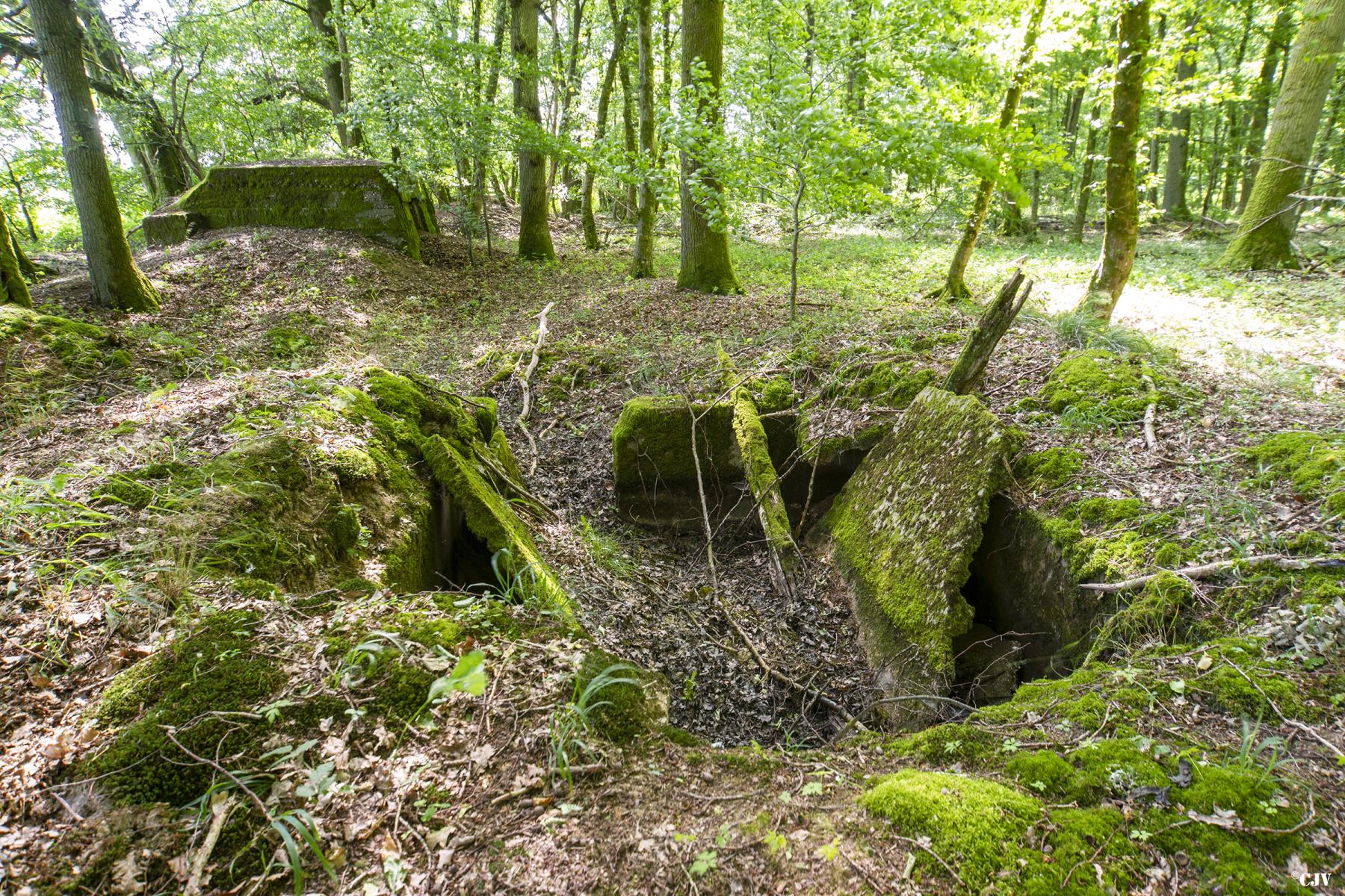 Ligne Maginot - VORDERSTERWALD 6 - (Abri) -  - Lia VERMEULEN