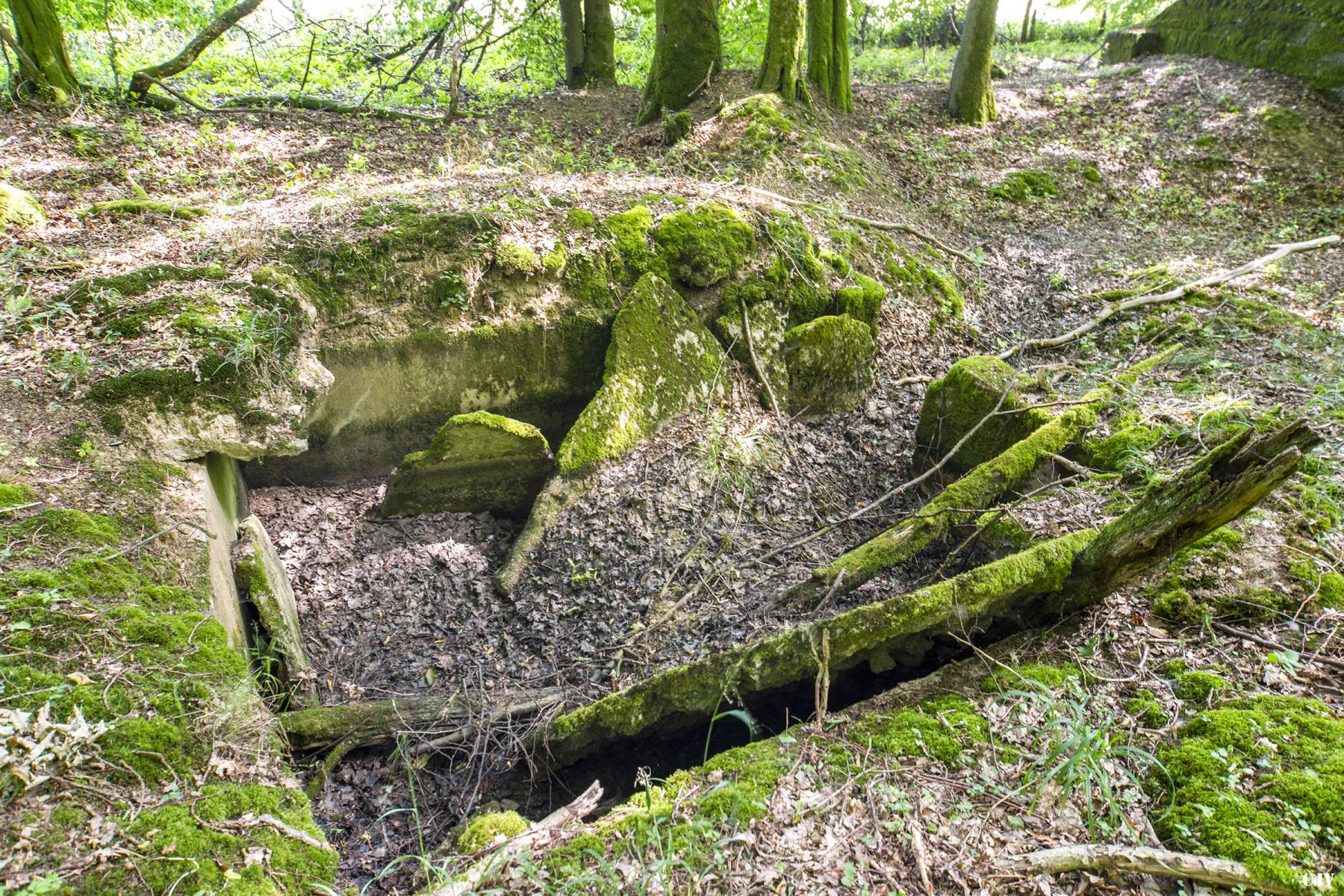 Ligne Maginot - VORDERSTERWALD 6 - (Abri) -  - Lia VERMEULEN