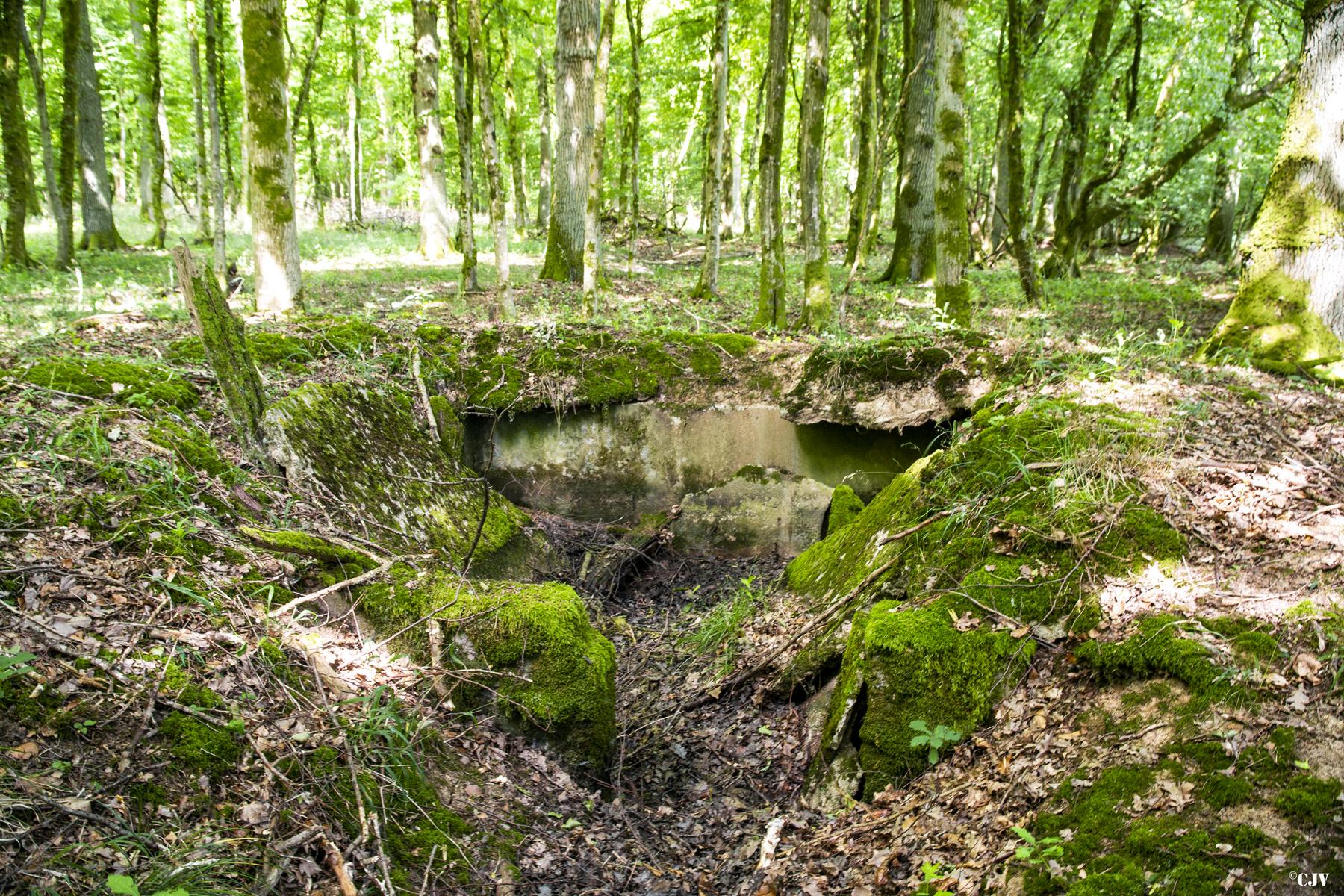 Ligne Maginot - VORDERSTERWALD 6 - (Abri) -  - Lia VERMEULEN