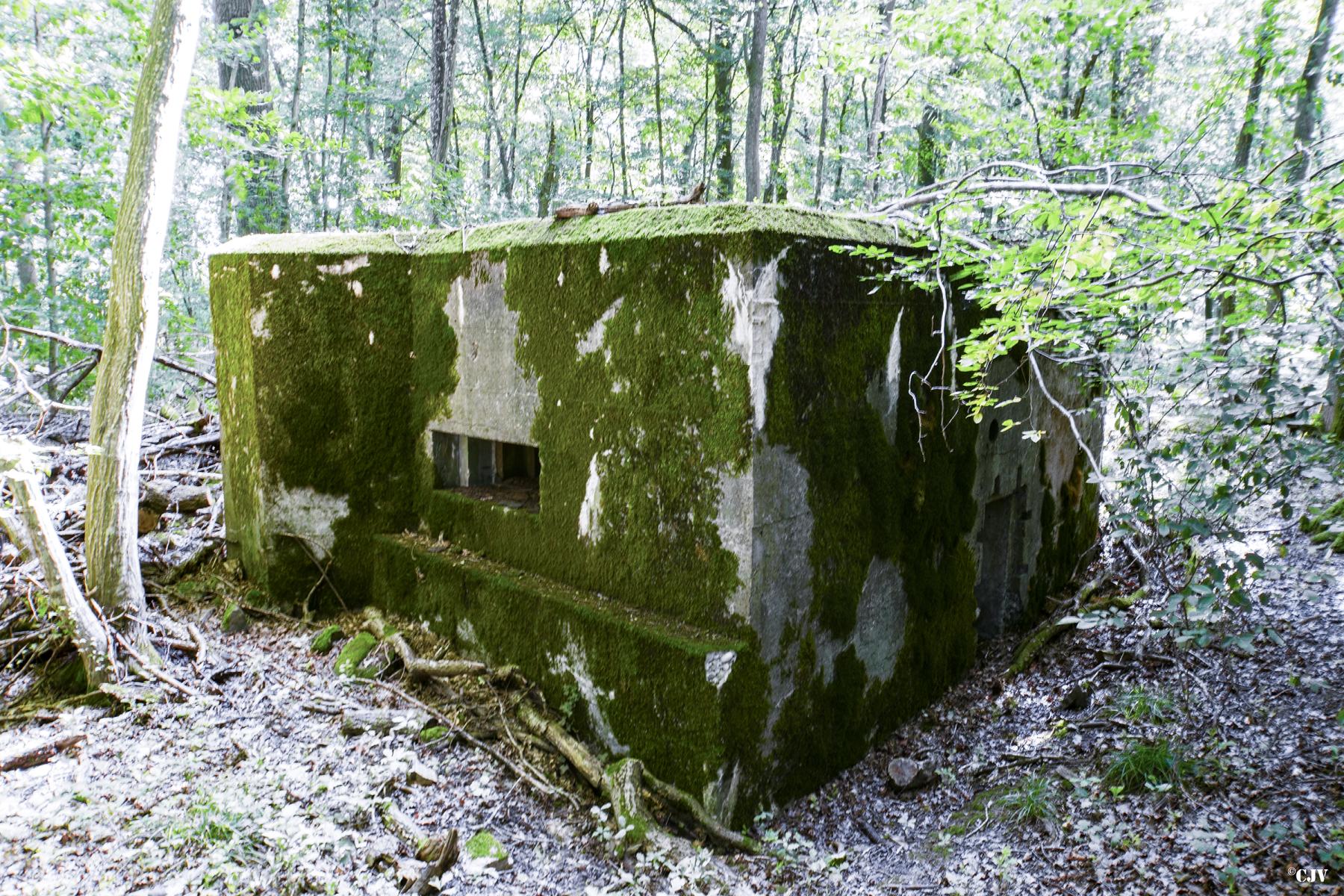 Ligne Maginot - VORDERSTERWALD 5 - (Blockhaus pour arme infanterie) -  - Lia VERMEULEN