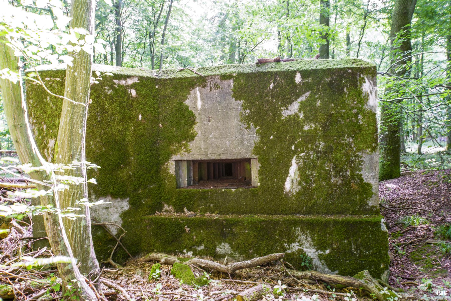Ligne Maginot - VORDERSTERWALD 5 - (Blockhaus pour arme infanterie) -  - Lia VERMEULEN