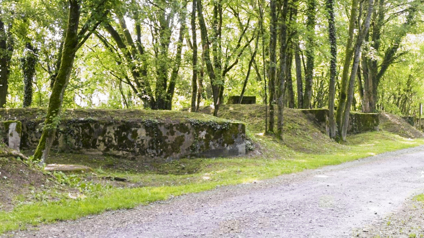 Ligne Maginot - BUCHWALD (I/23° RARF) - (Position d'artillerie préparée) -  - A.Morhain