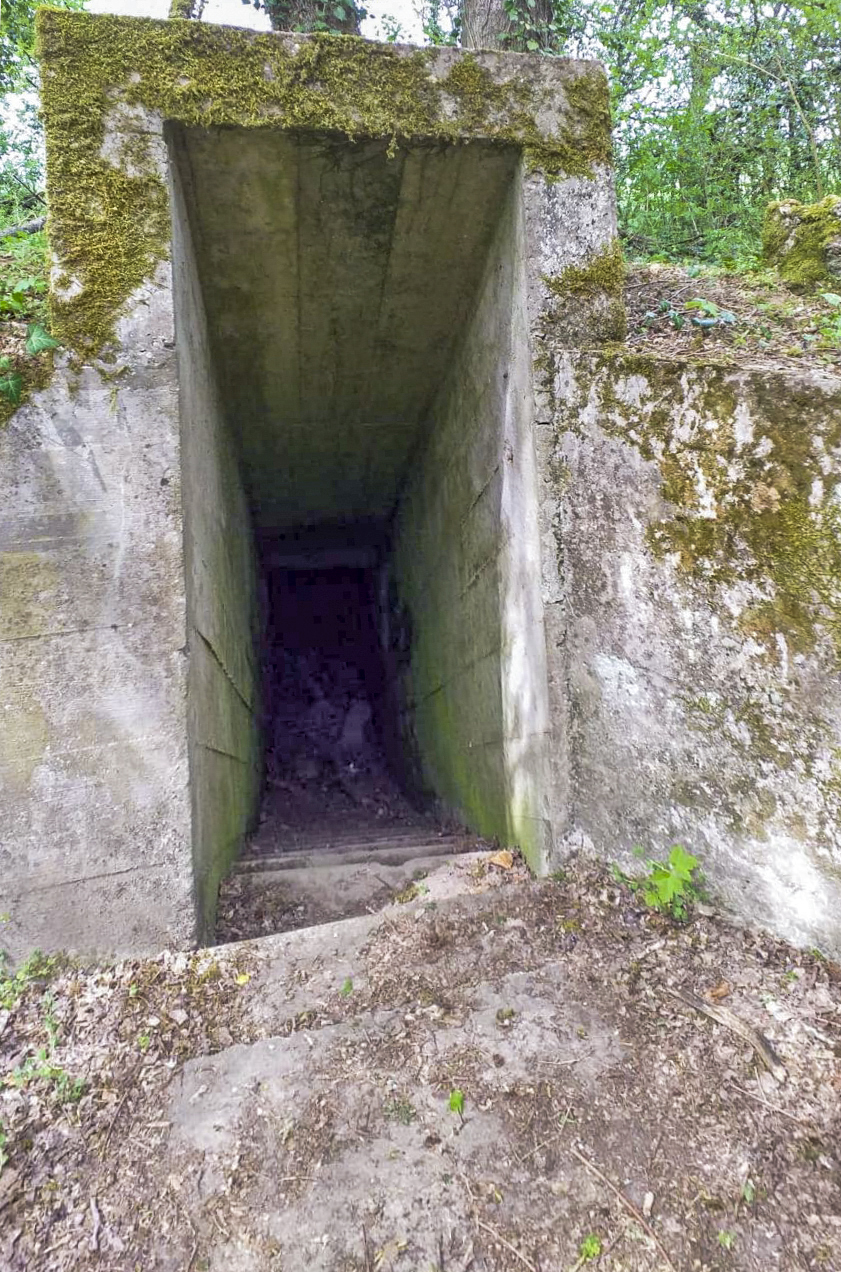 Ligne Maginot - BUCHWALD (I/23° RARF) - (Position d'artillerie préparée) -  - Emanuelle Kellner