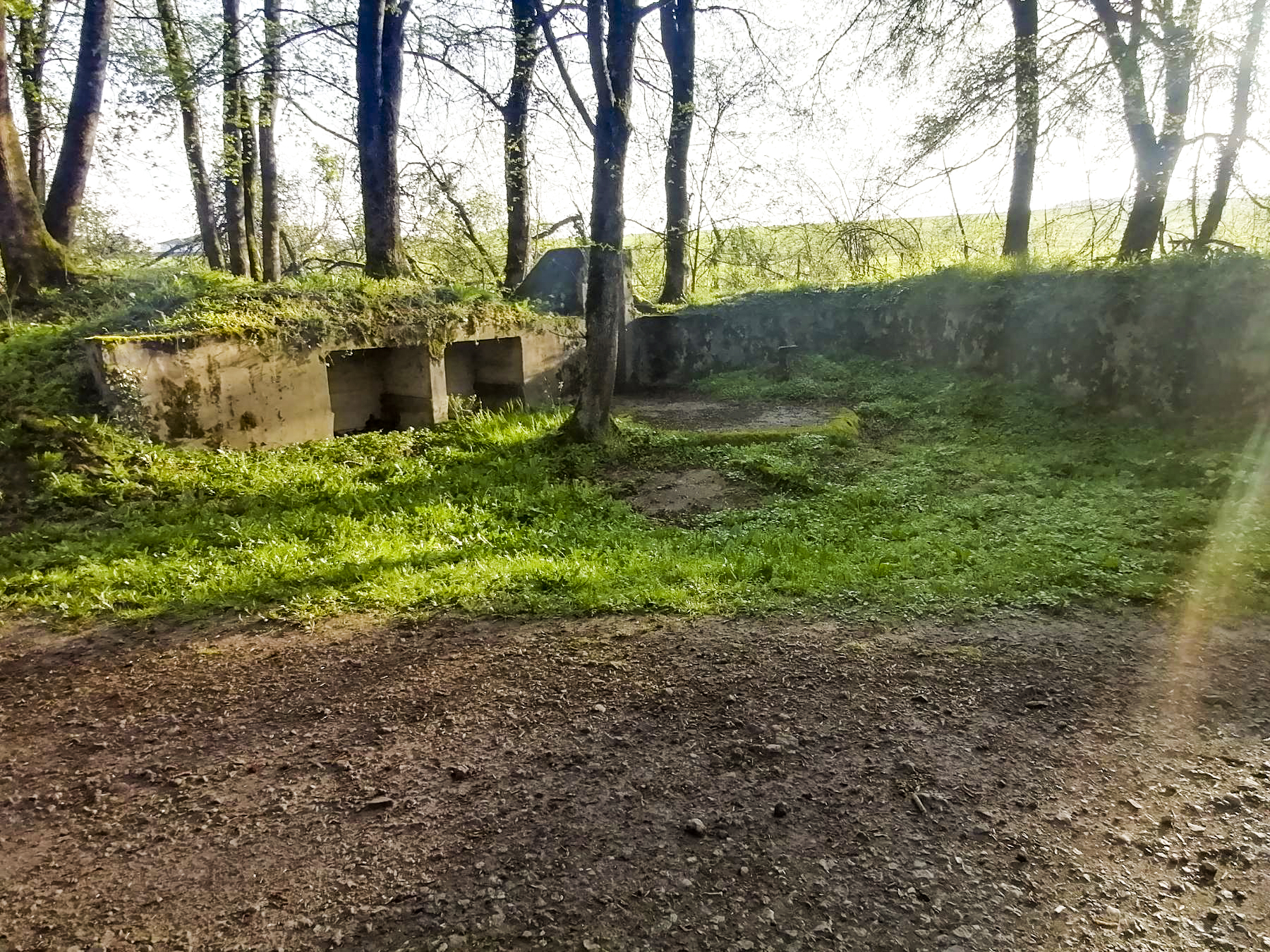 Ligne Maginot - BUCHWALD (I/23° RARF) - (Position d'artillerie préparée) - Cuve bétonnée 2 - DISS D