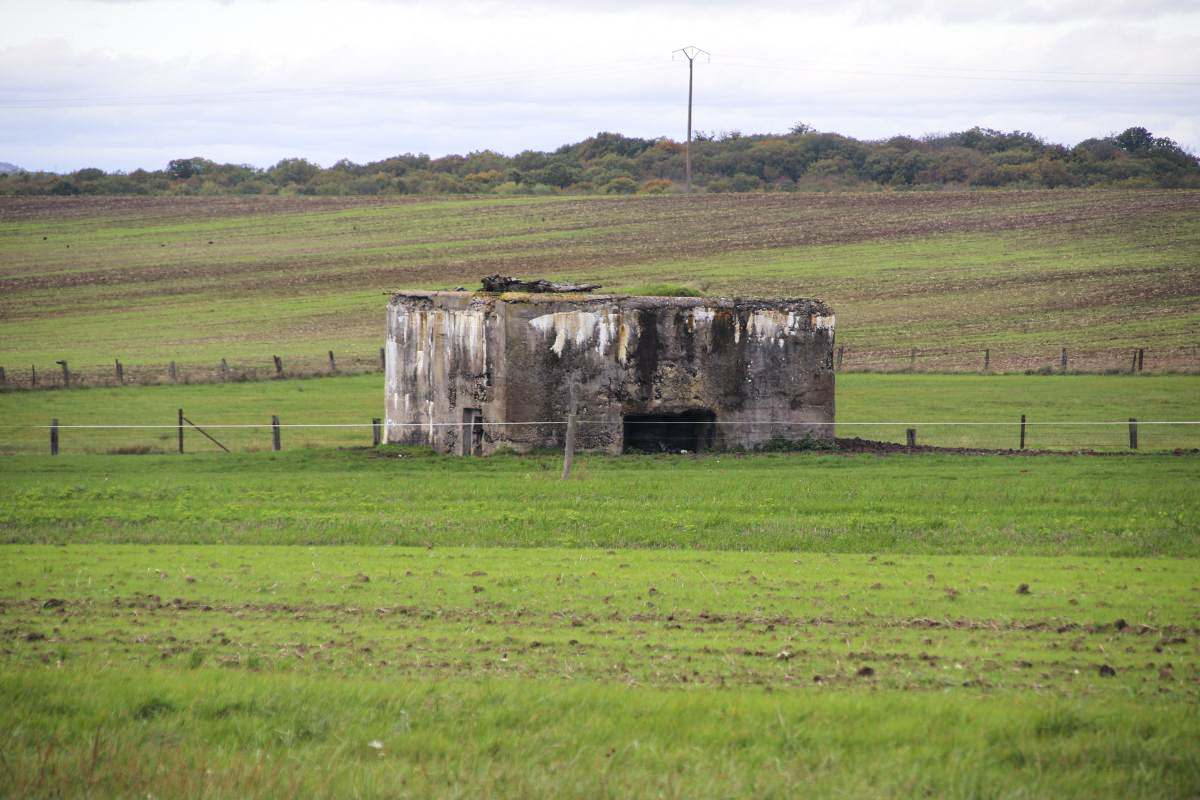 Ligne Maginot - M38 - (Blockhaus pour canon) -                           - Michel et Philippe Zimmer
