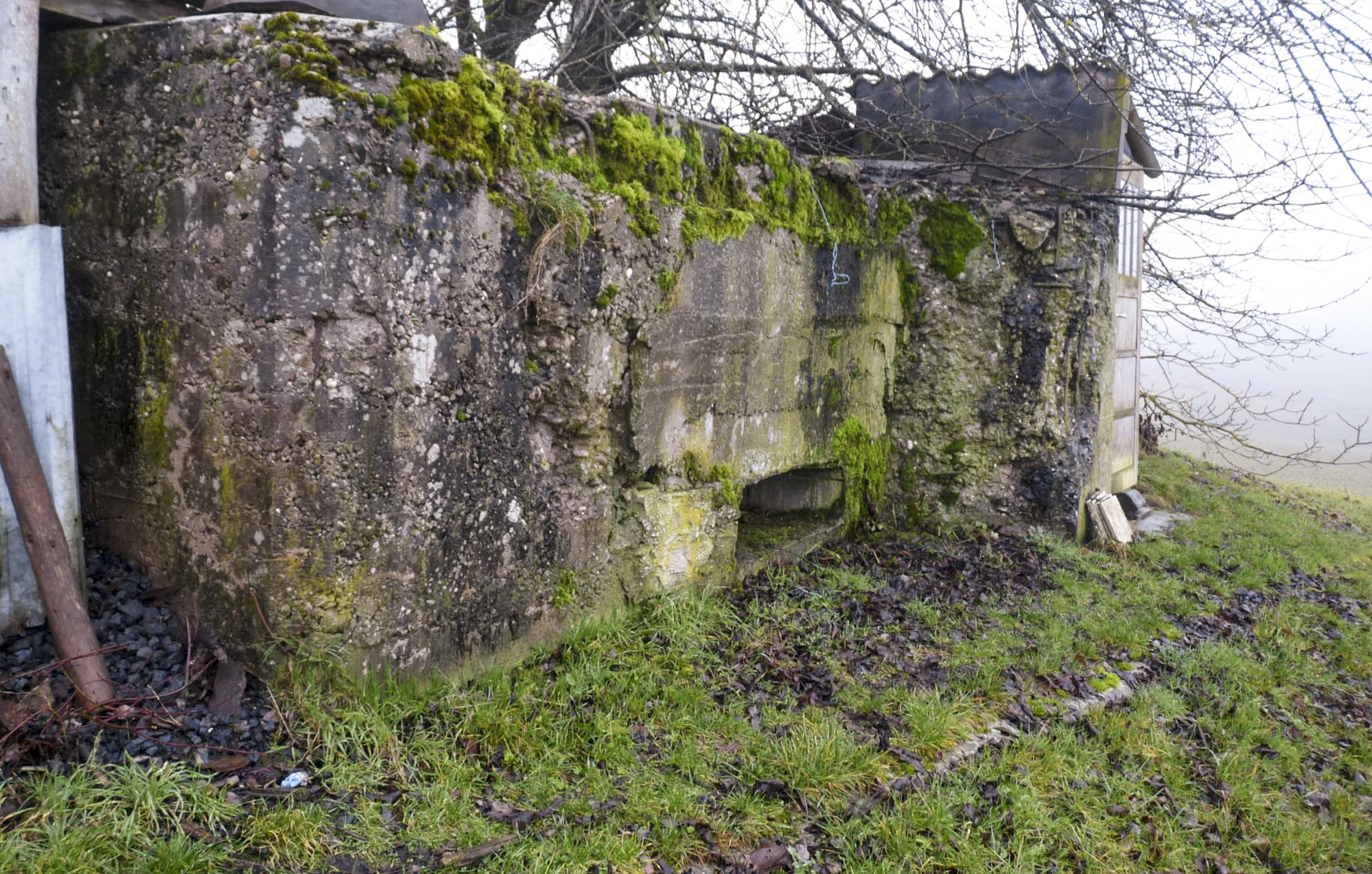 Ligne Maginot - CAPPEL 3 - (Blockhaus pour canon) -  - Sylvie Laure LAMBERT