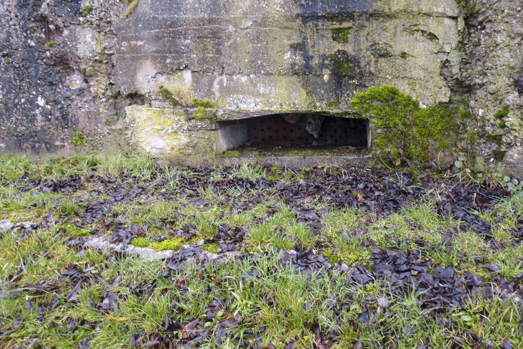 Ligne Maginot - CAPPEL 3 - (Blockhaus pour canon) -  - Sylvie Laure LAMBERT