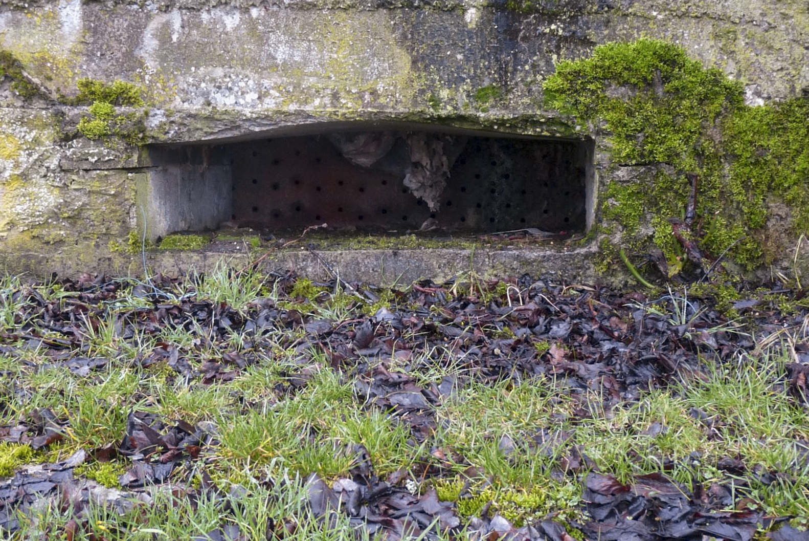 Ligne Maginot - CAPPEL 3 - (Blockhaus pour canon) -  - Sylvie Laure LAMBERT