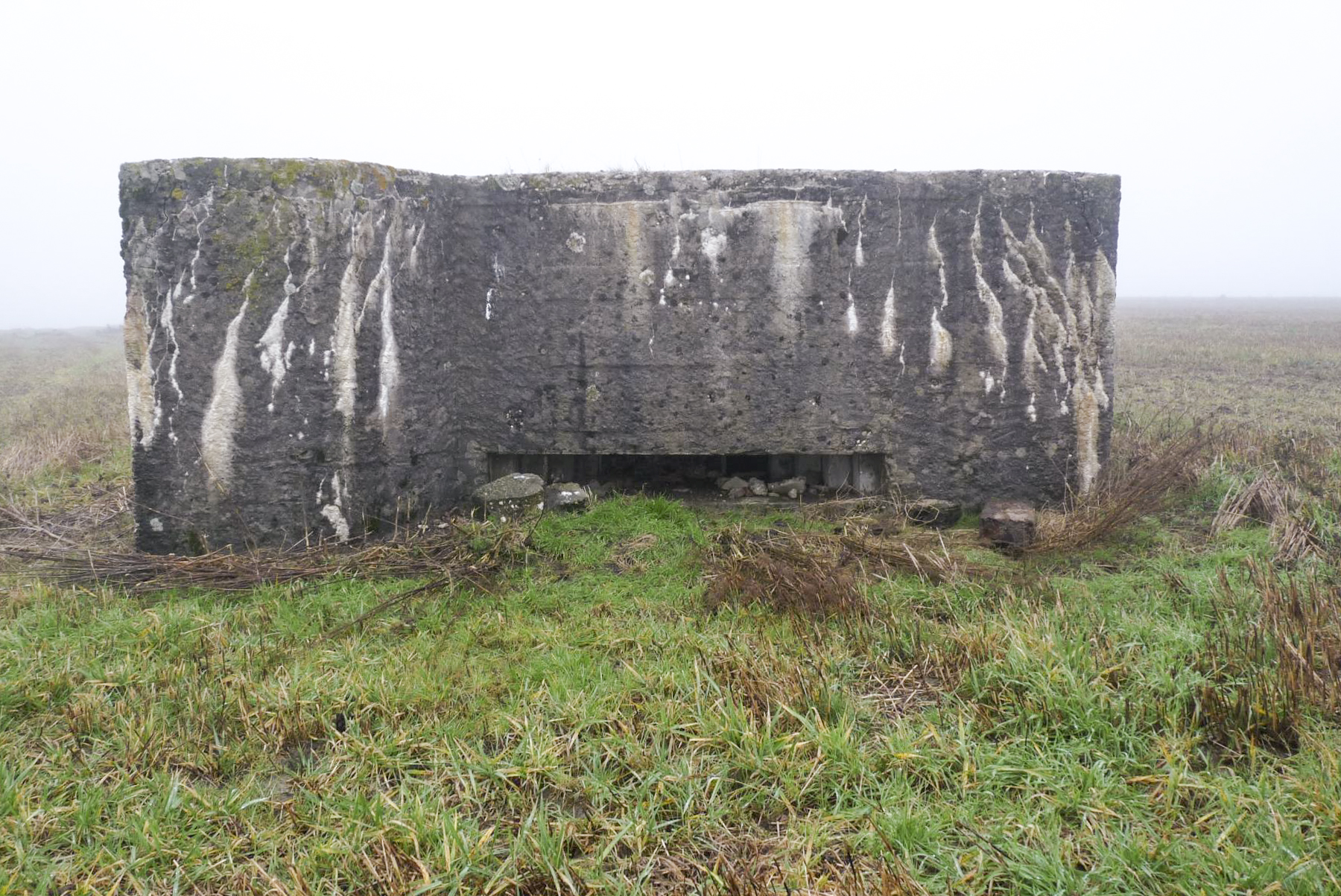 Ligne Maginot - CAPPEL 7 - (Blockhaus pour canon) -  - Sylvie Laure LAMBERT